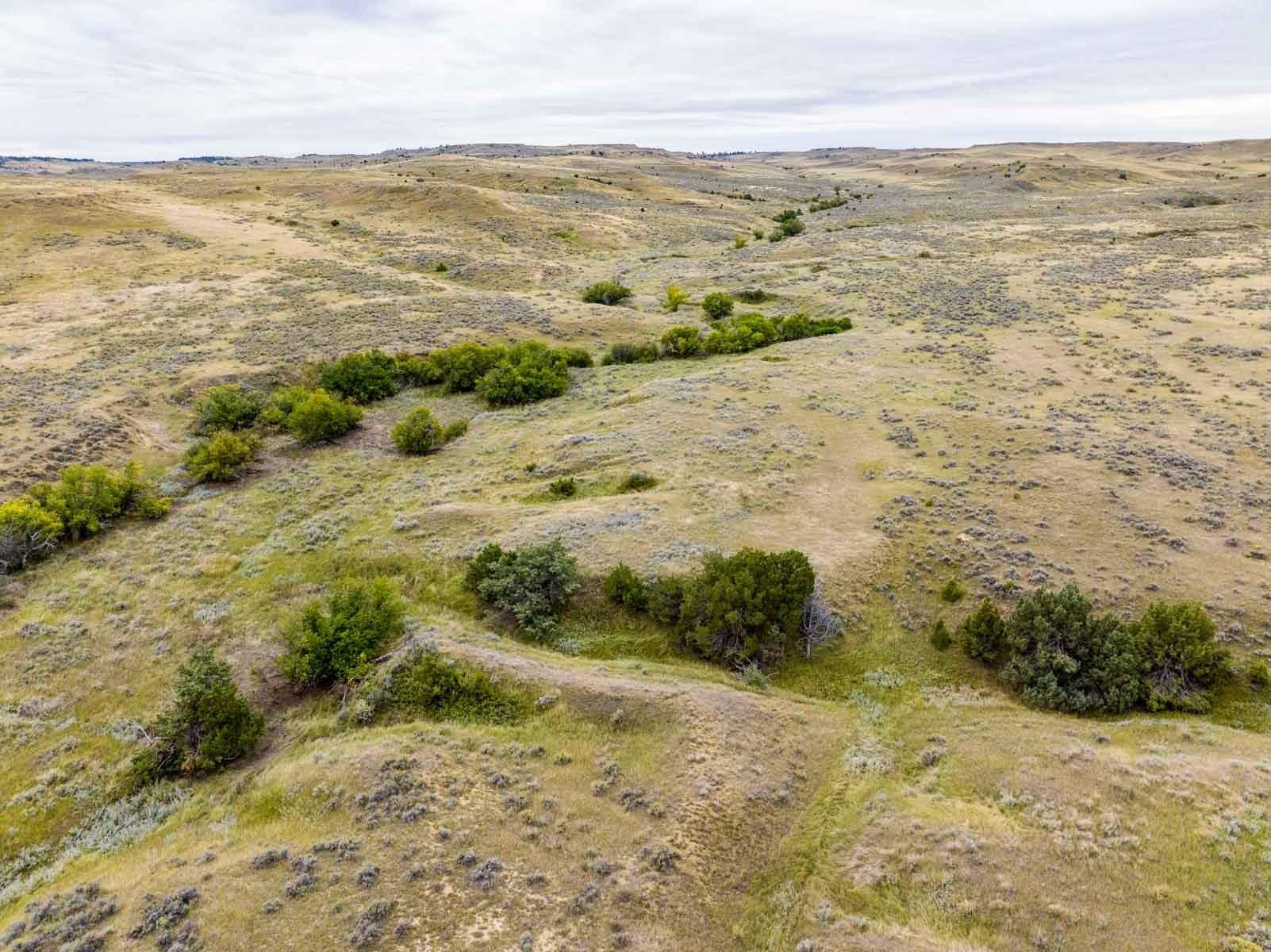 Cedar Creek Ranch property picture 64 of 76