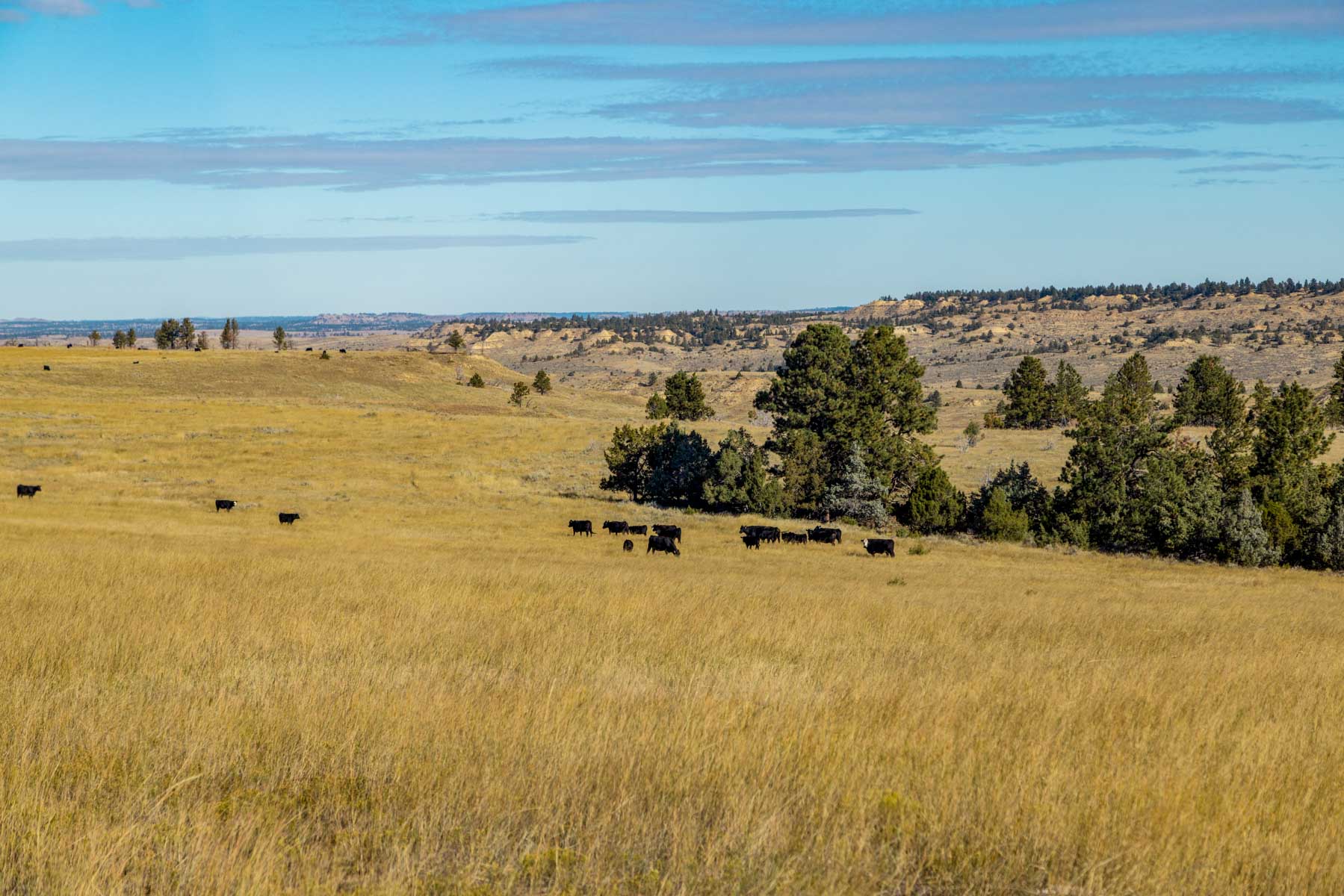 Cedar Creek Ranch property picture 48 of 76