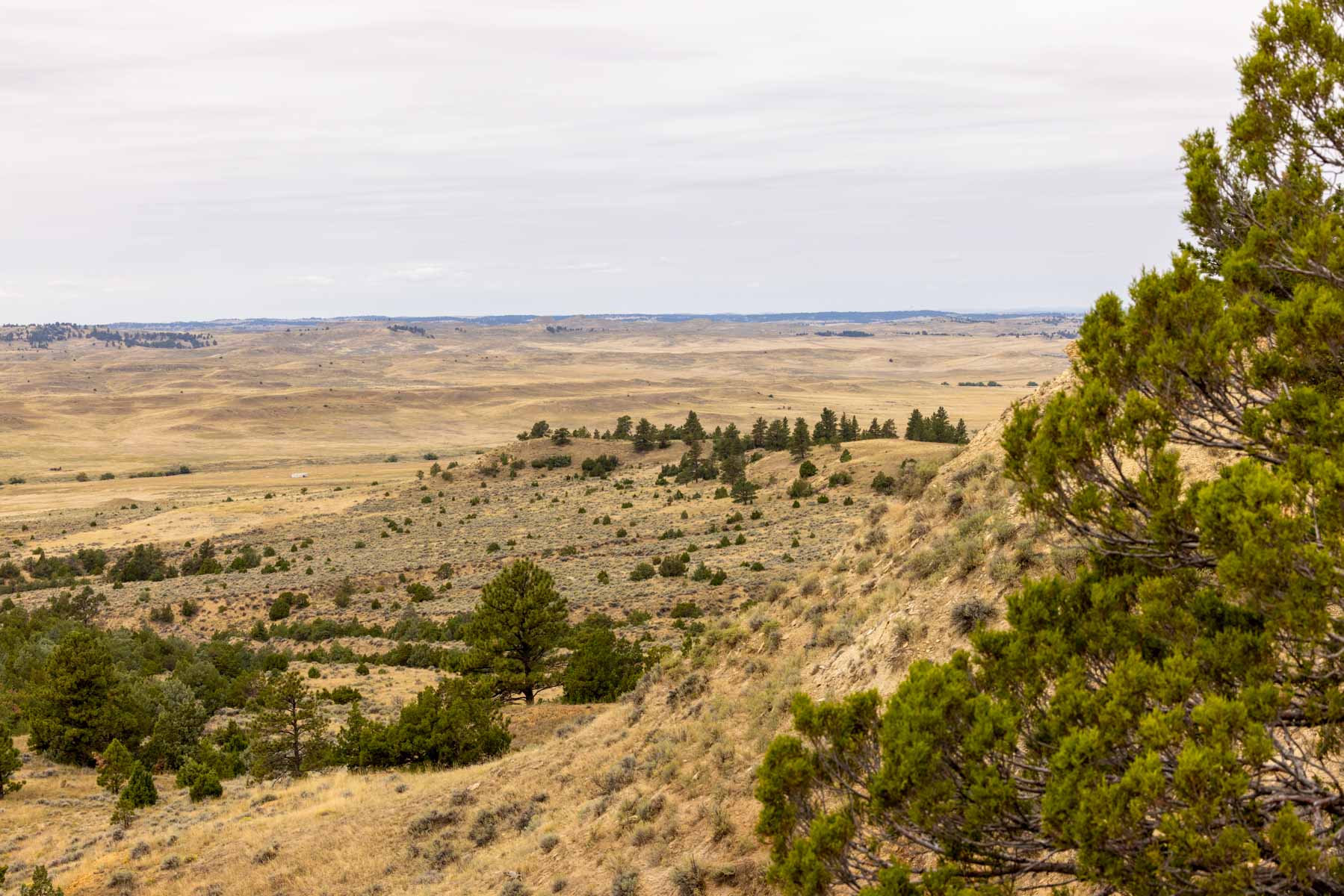 Cedar Creek Ranch property picture 24 of 76