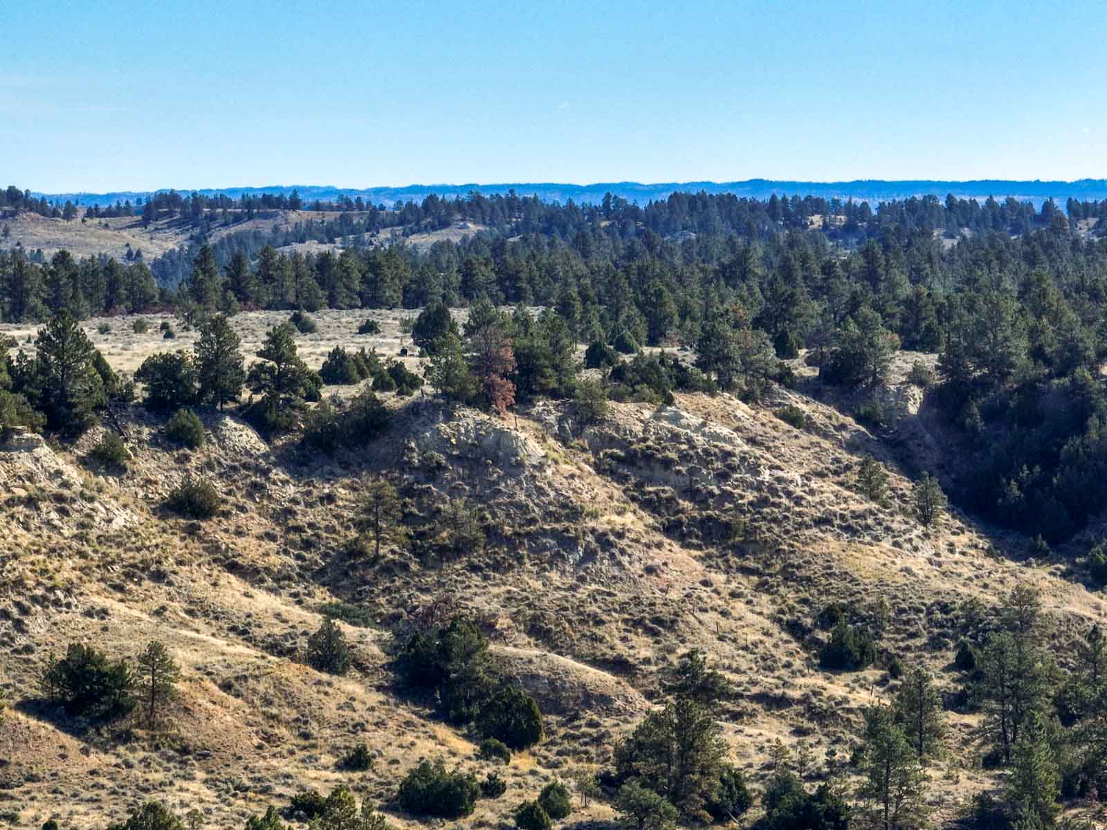 Cedar Creek Ranch property picture 69 of 76