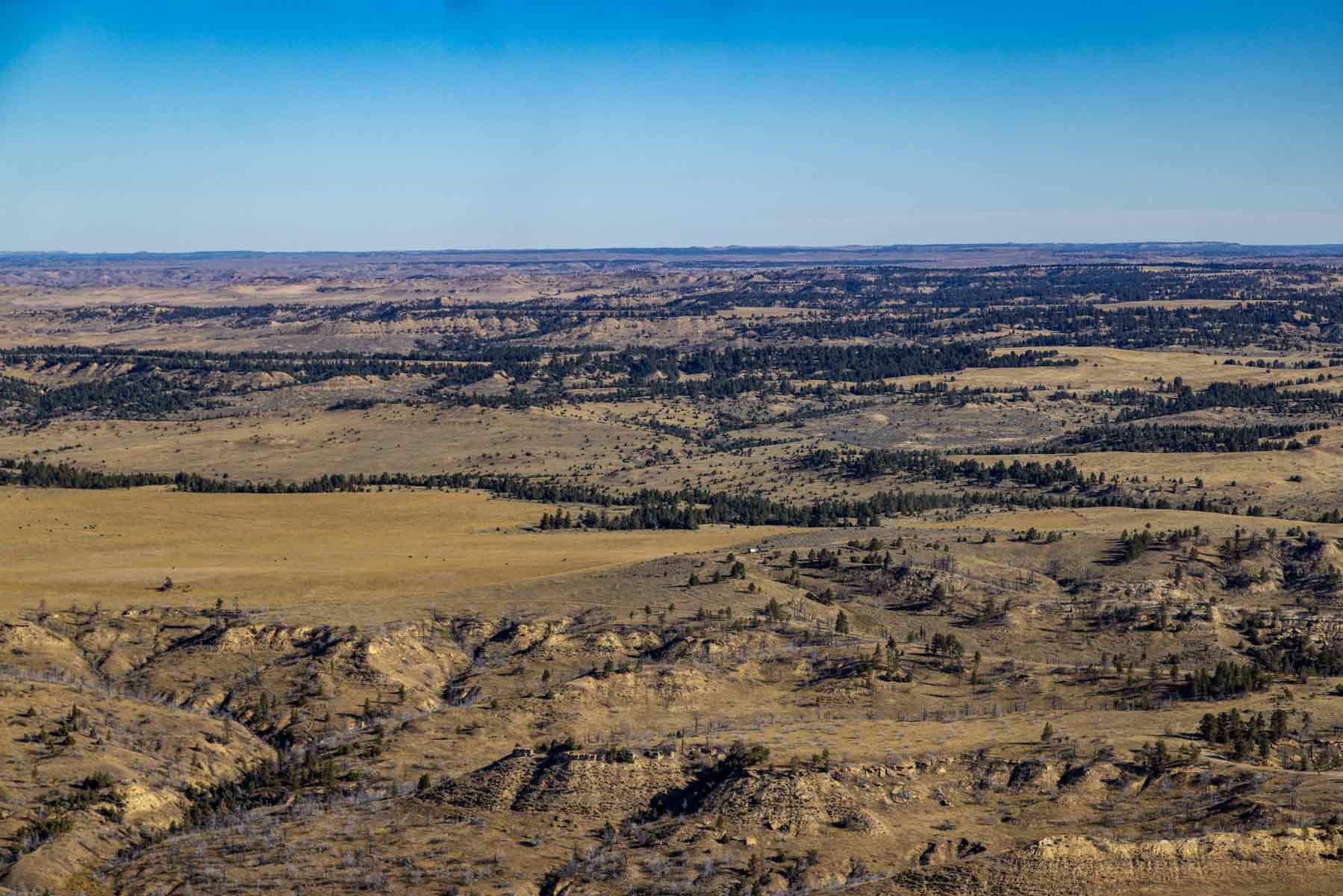 Cedar Creek Ranch property picture 39 of 76