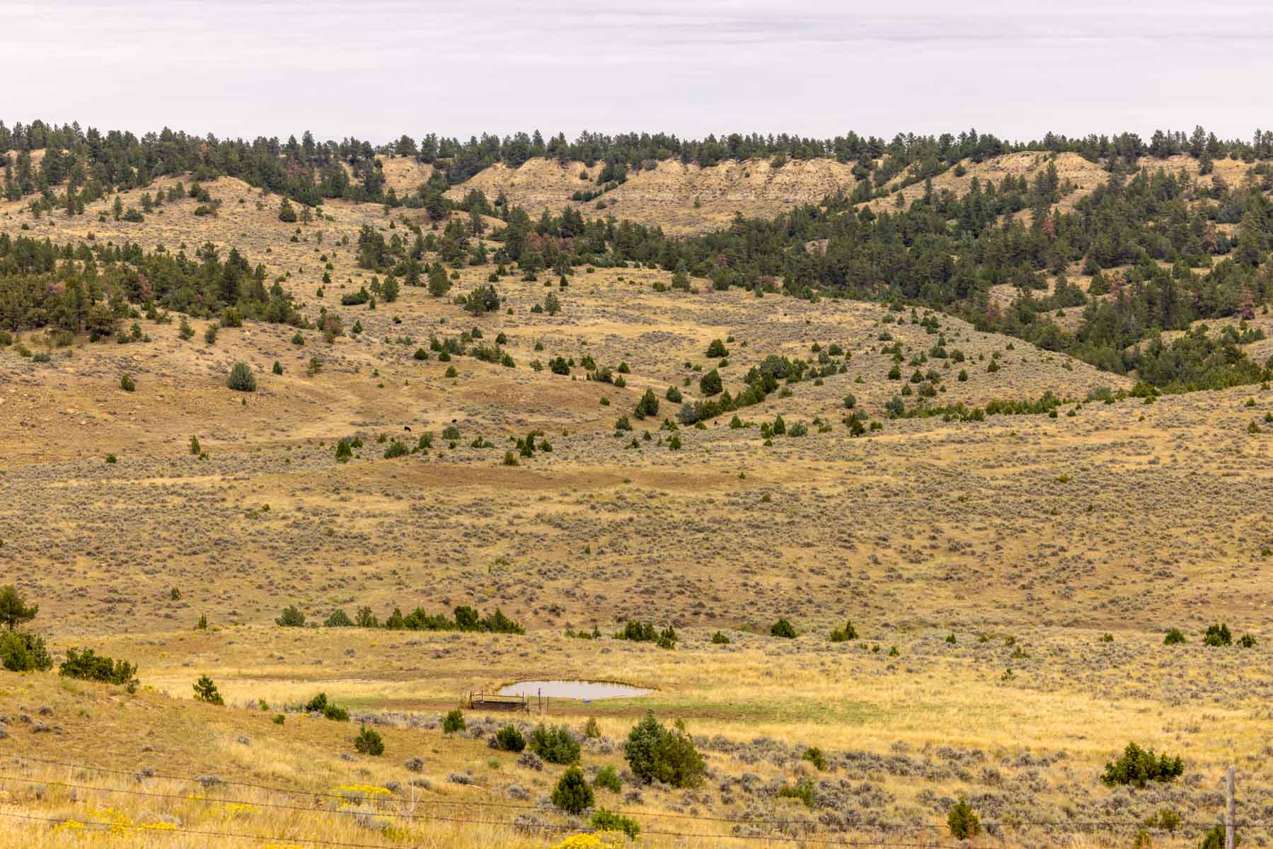 Cedar Creek Ranch property picture 29 of 76