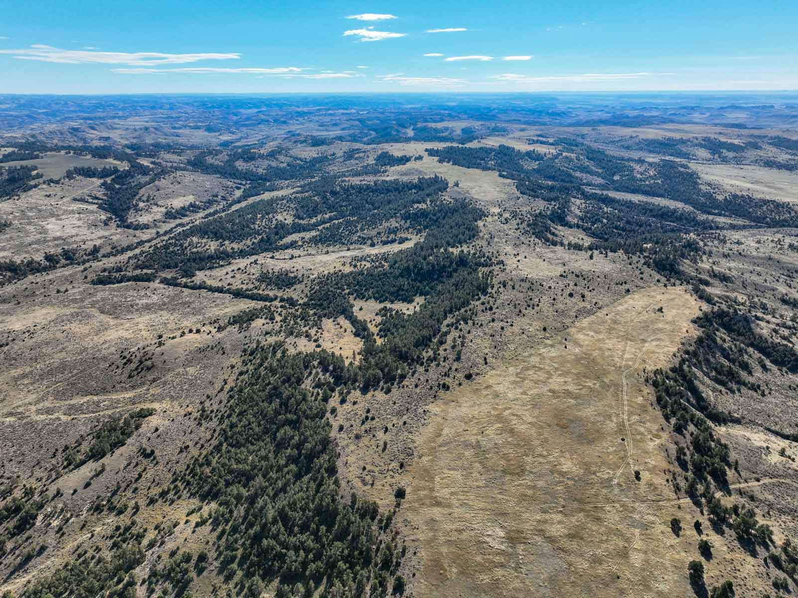 Cedar Creek Ranch property picture 75 of 76