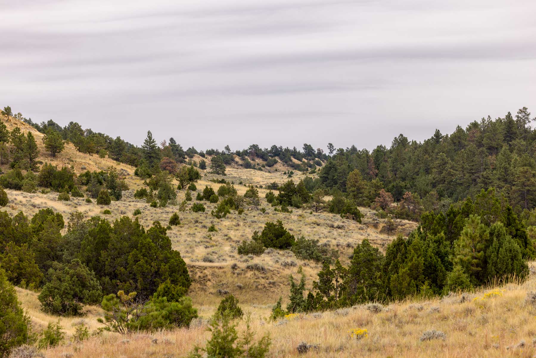 Cedar Creek Ranch property picture 21 of 76