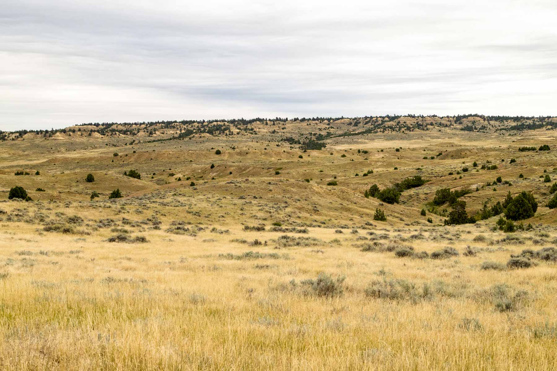 Cedar Creek Ranch property picture 31 of 76