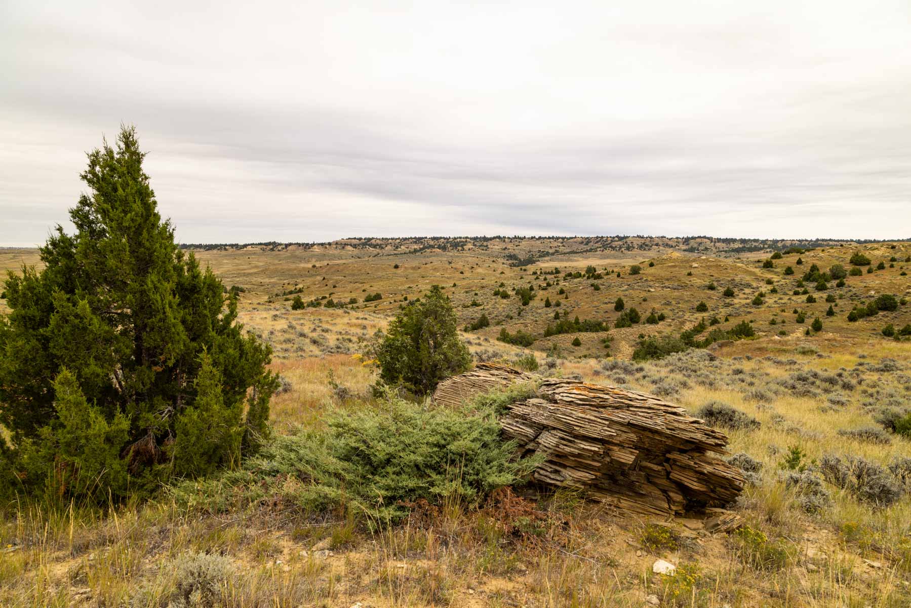 Cedar Creek Ranch property picture 8 of 76