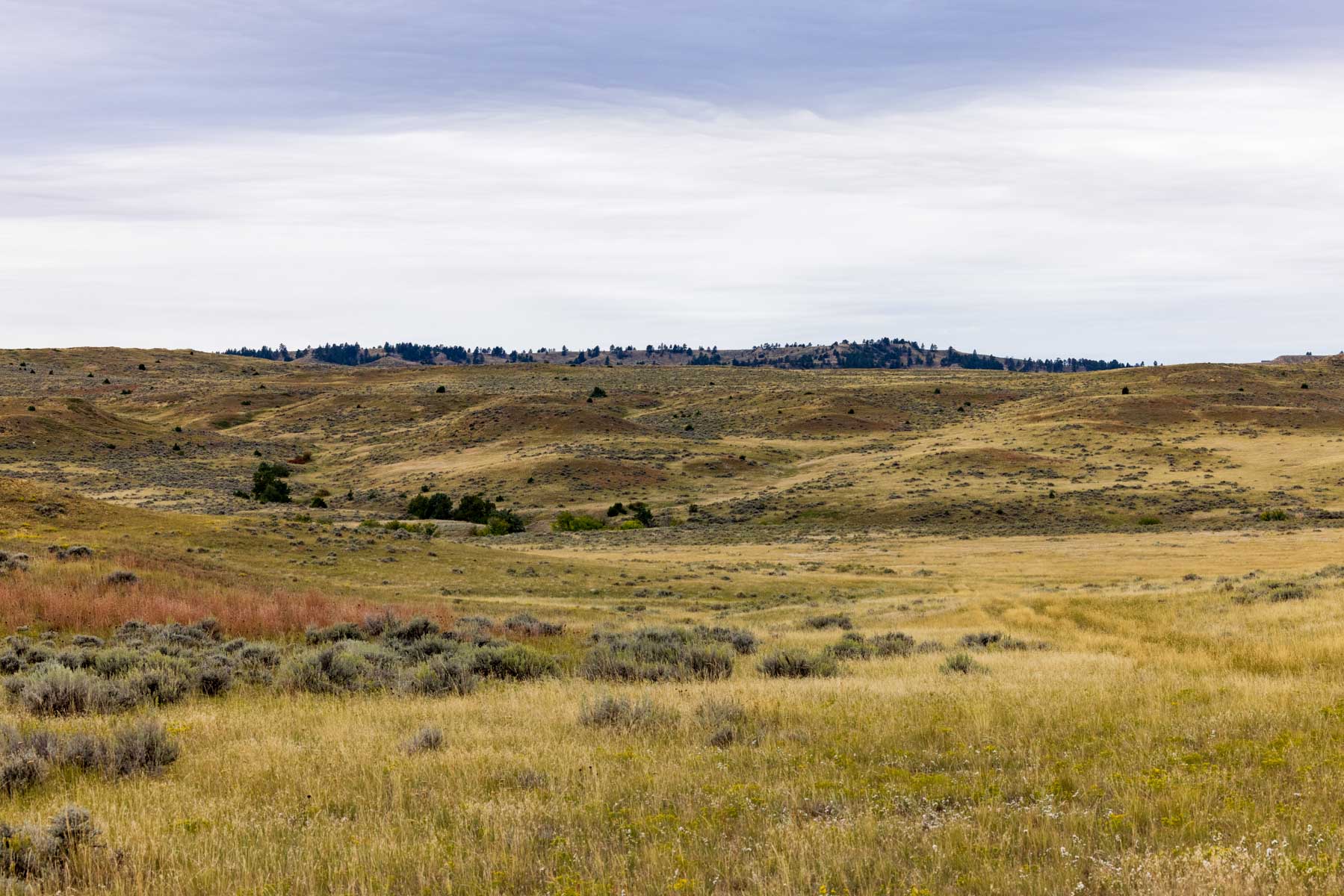 Cedar Creek Ranch property picture 32 of 76