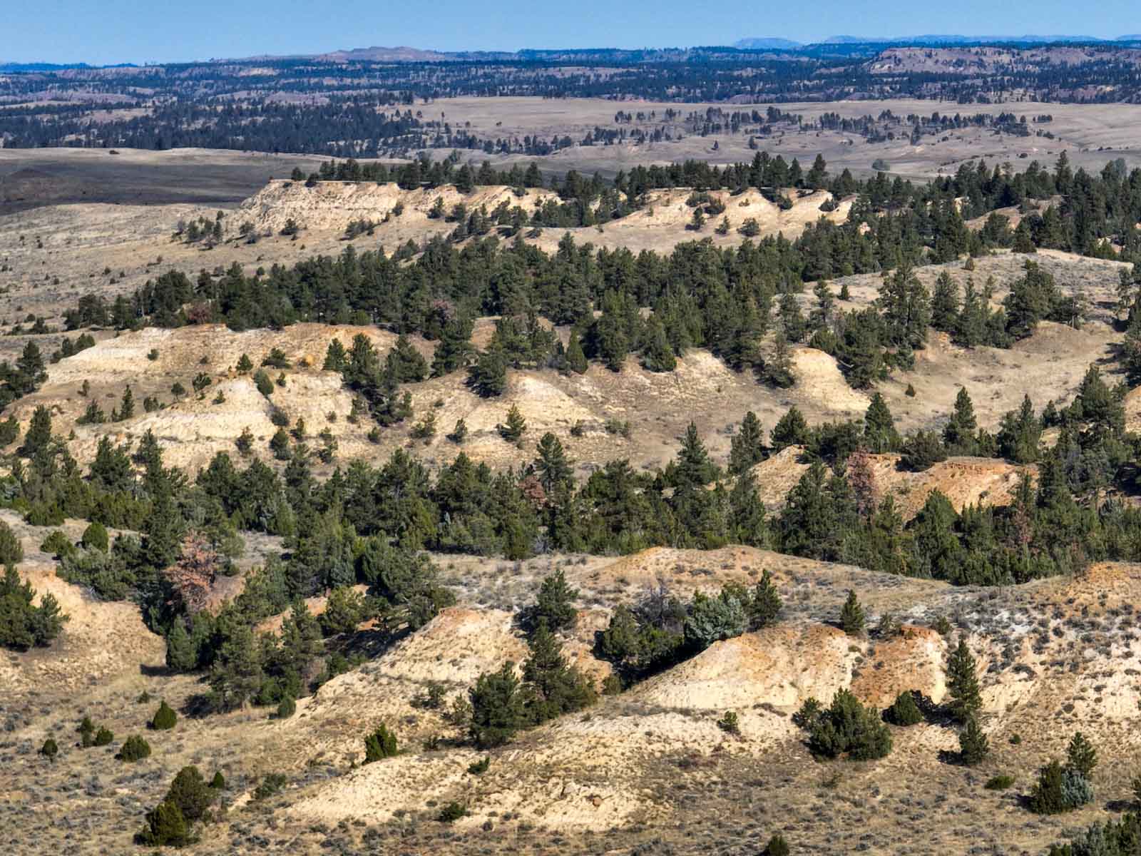 Cedar Creek Ranch property picture 72 of 76