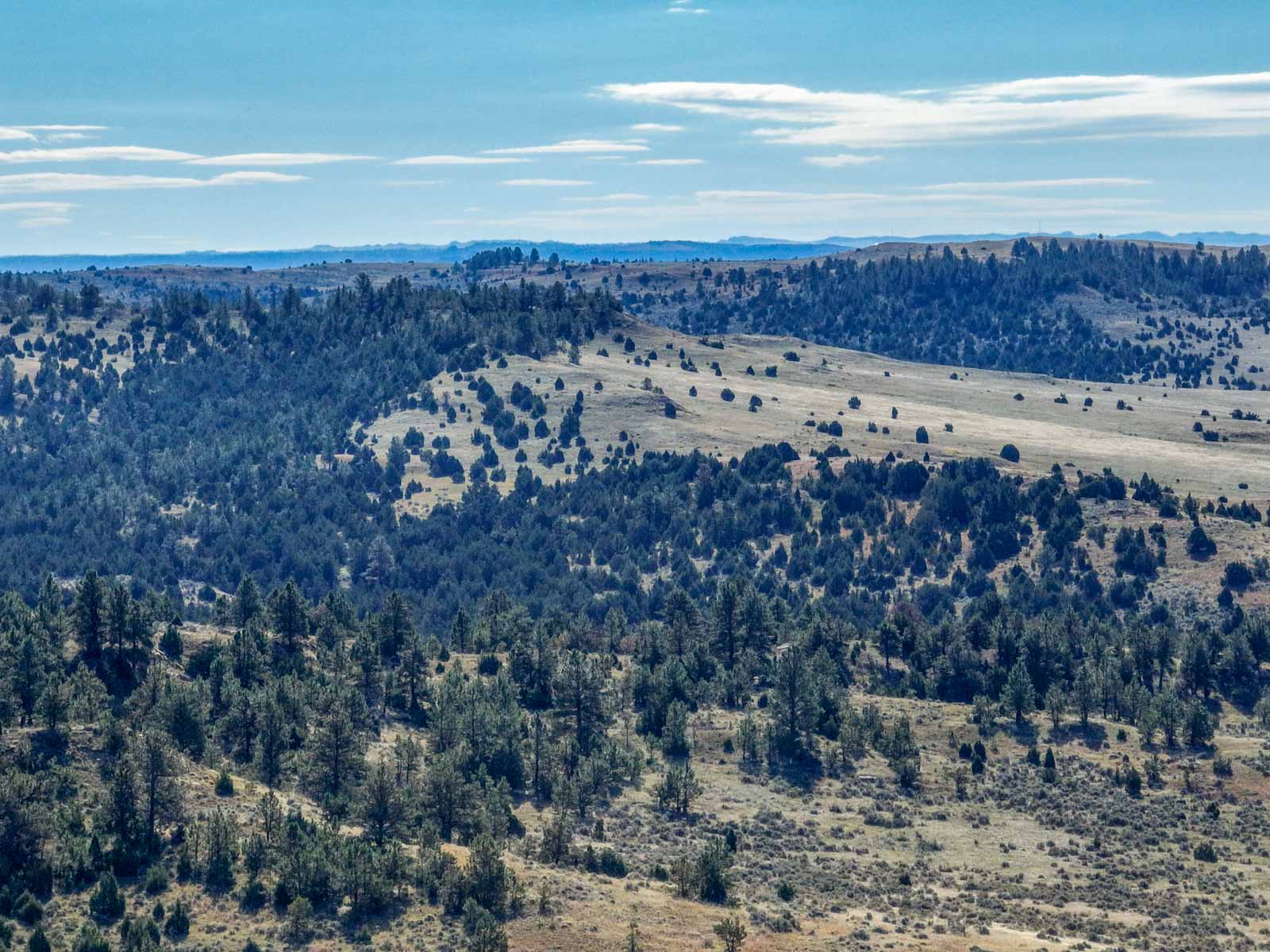 Cedar Creek Ranch property picture 68 of 76