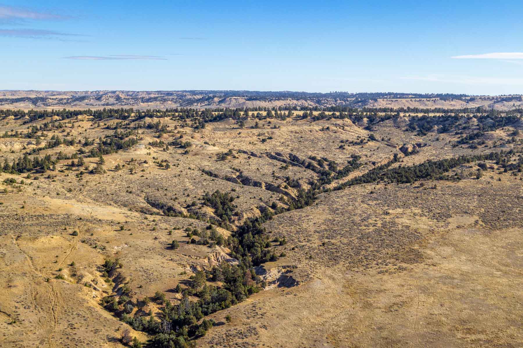 Cedar Creek Ranch property picture 51 of 76