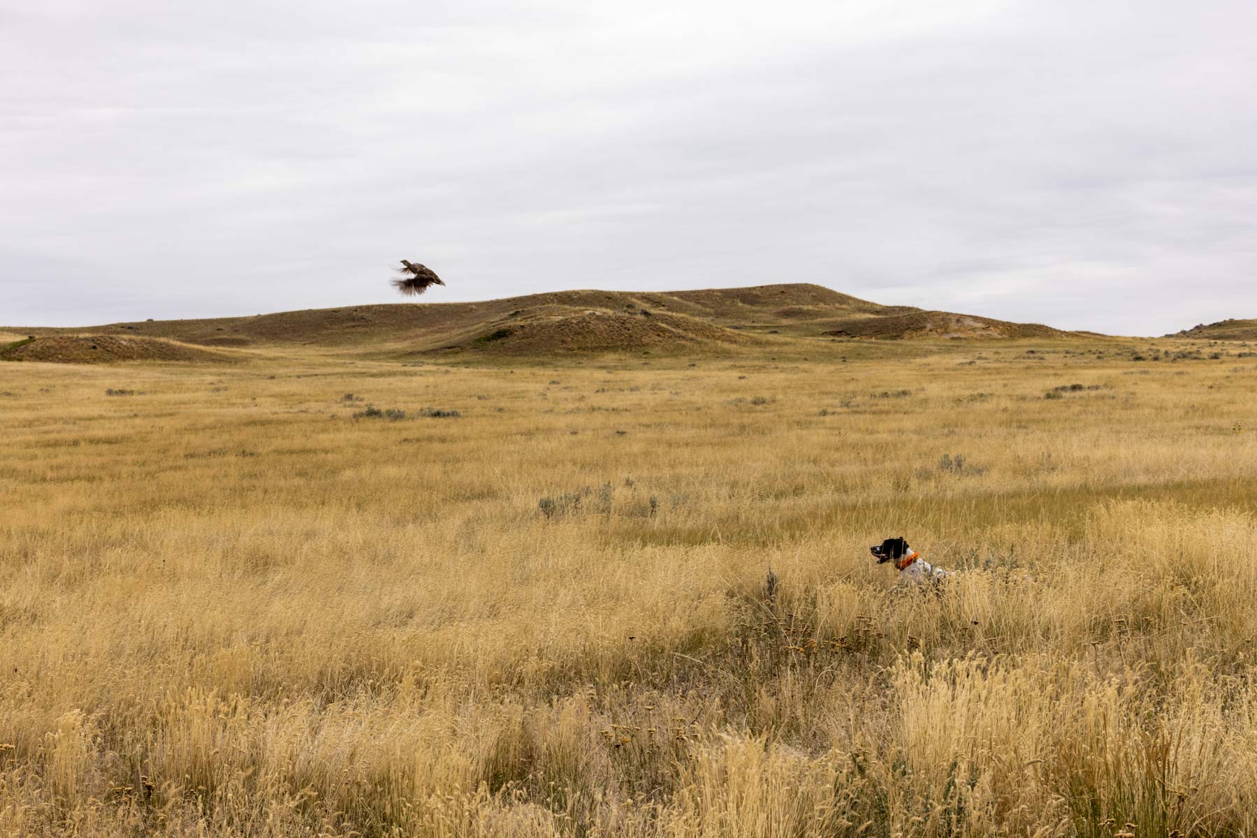 Cedar Creek Ranch property picture 36 of 76