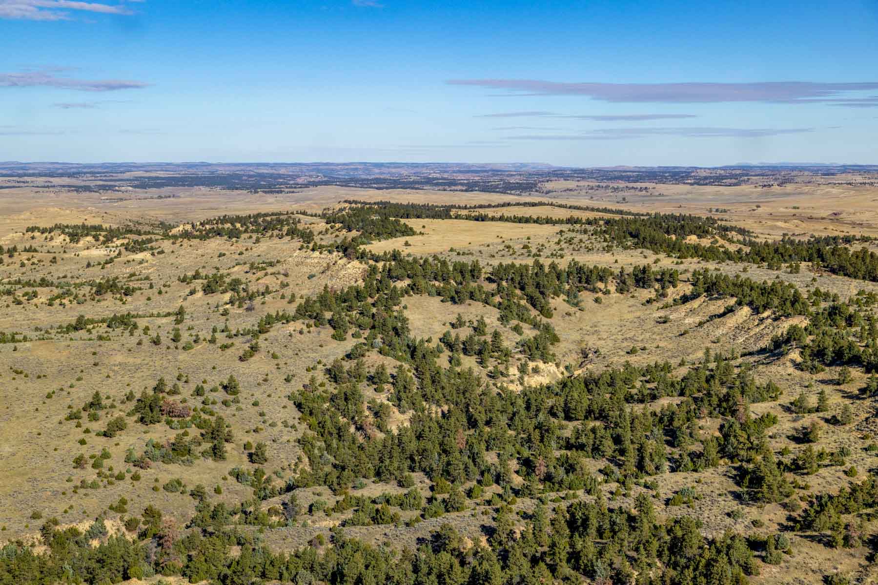 Cedar Creek Ranch property picture 43 of 76