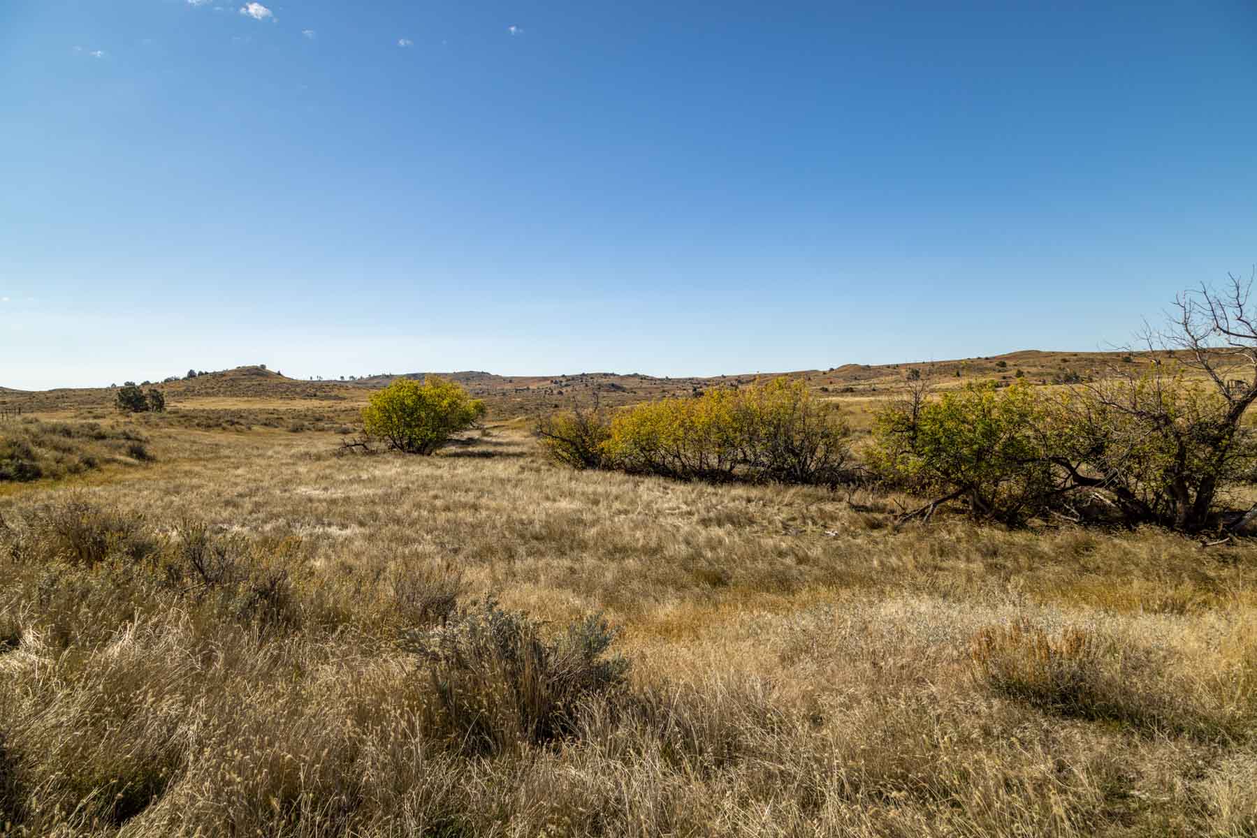 Cedar Creek Ranch property picture 56 of 76