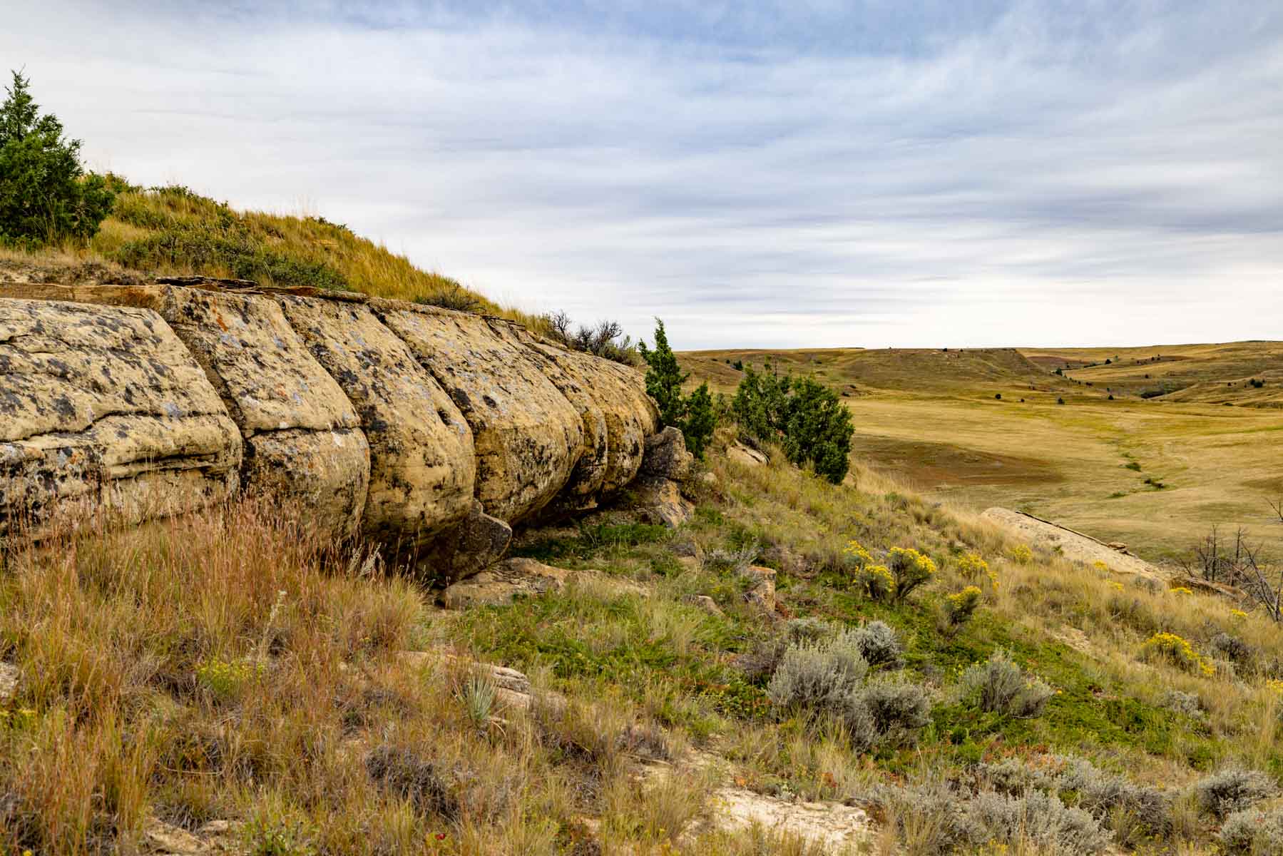 Cedar Creek Ranch property picture 11 of 76