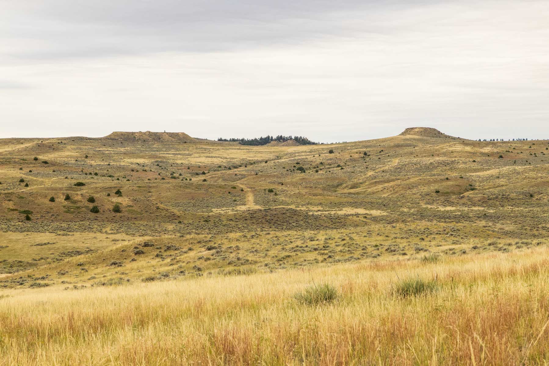 Cedar Creek Ranch property picture 7 of 76