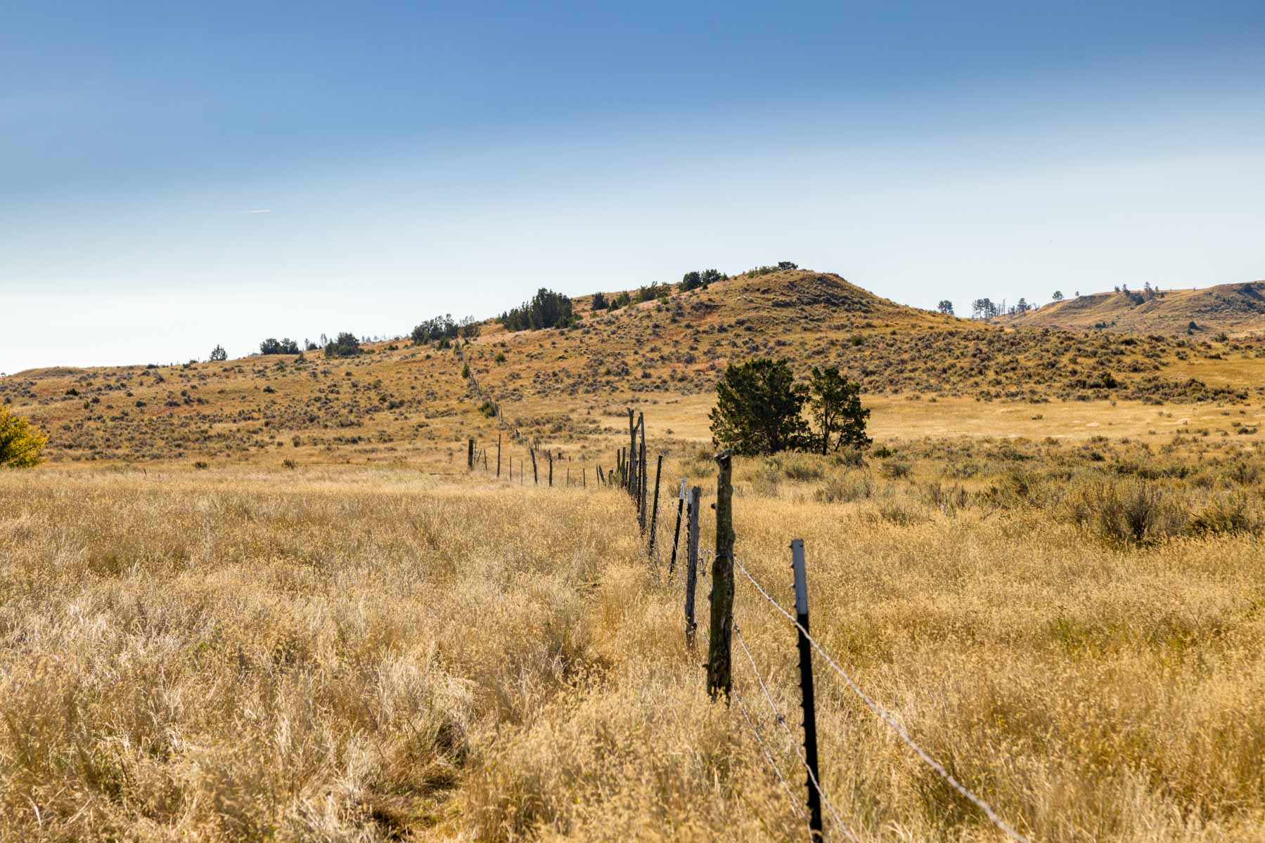 Cedar Creek Ranch property picture 53 of 76