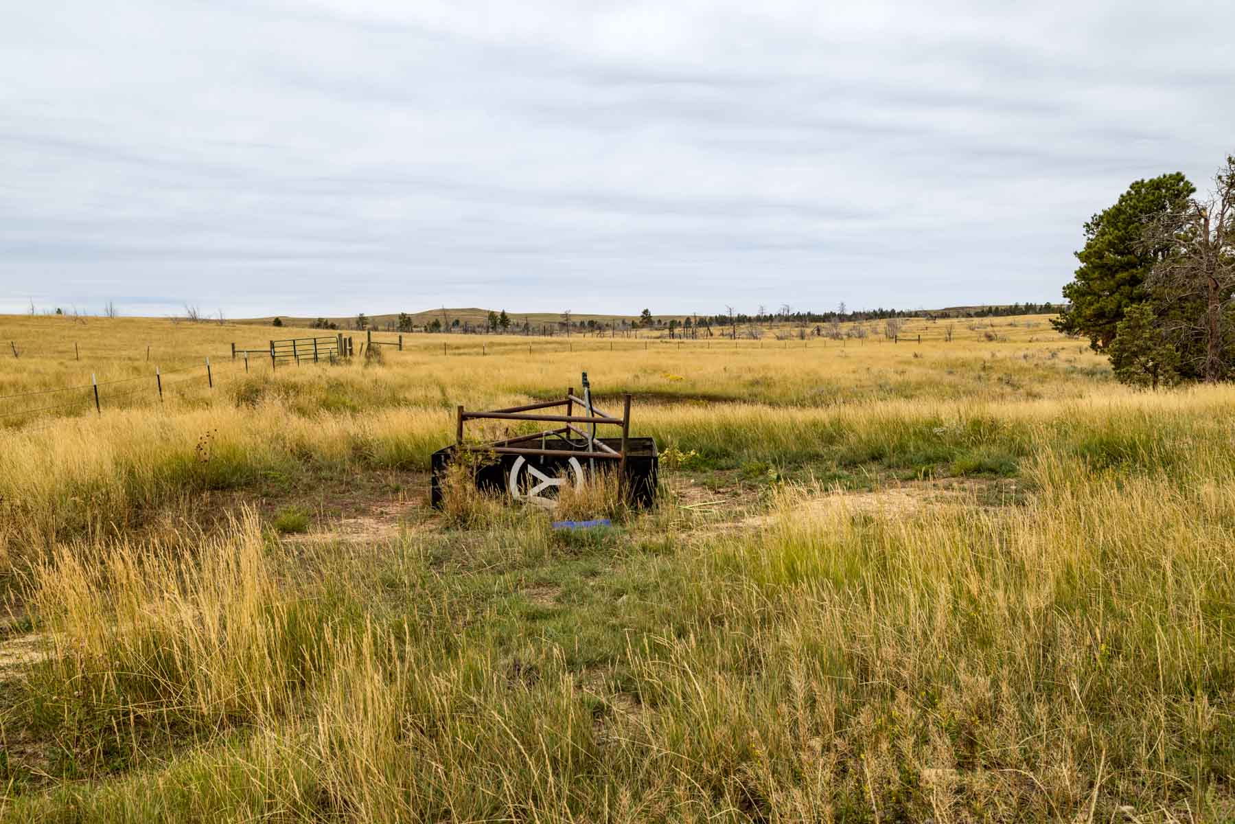 Cedar Creek Ranch property picture 14 of 76