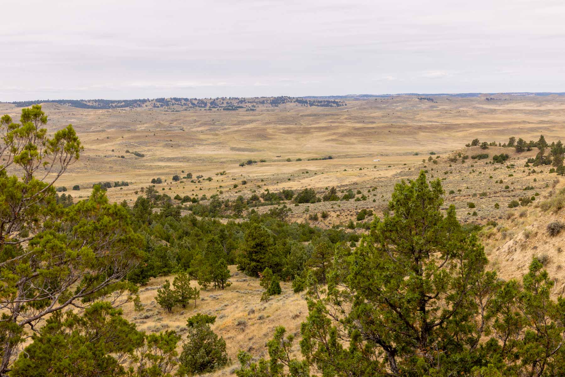 Cedar Creek Ranch property picture 23 of 76