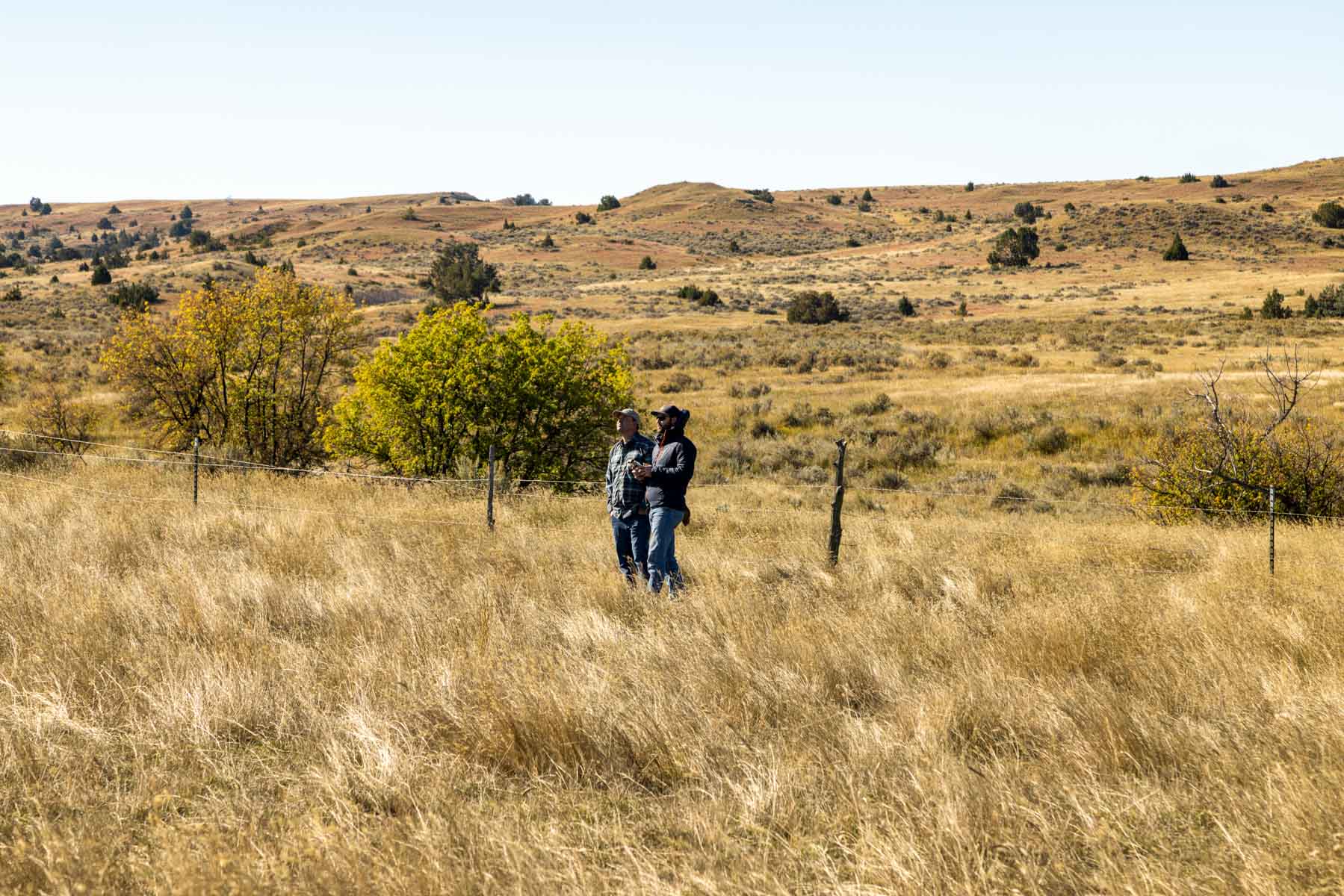 Cedar Creek Ranch property picture 60 of 76