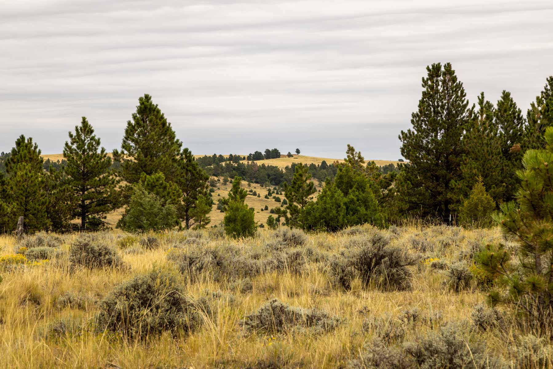 Cedar Creek Ranch property picture 30 of 76