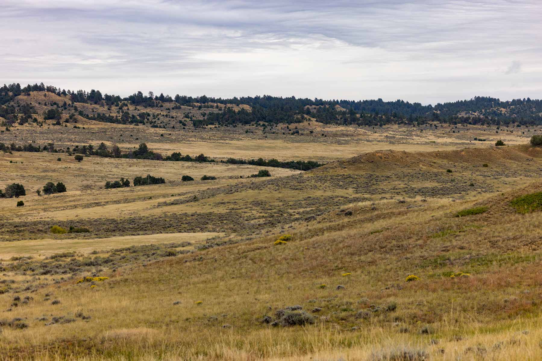 Cedar Creek Ranch property picture 33 of 76