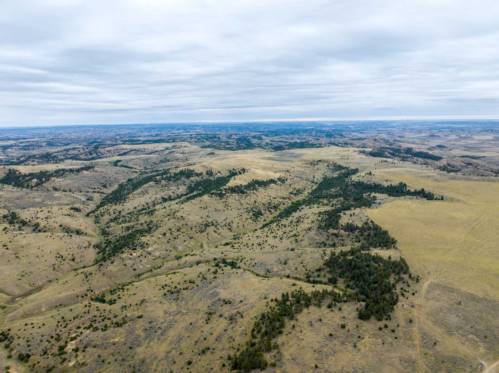 Cedar Creek Ranch property picture 20 of 76