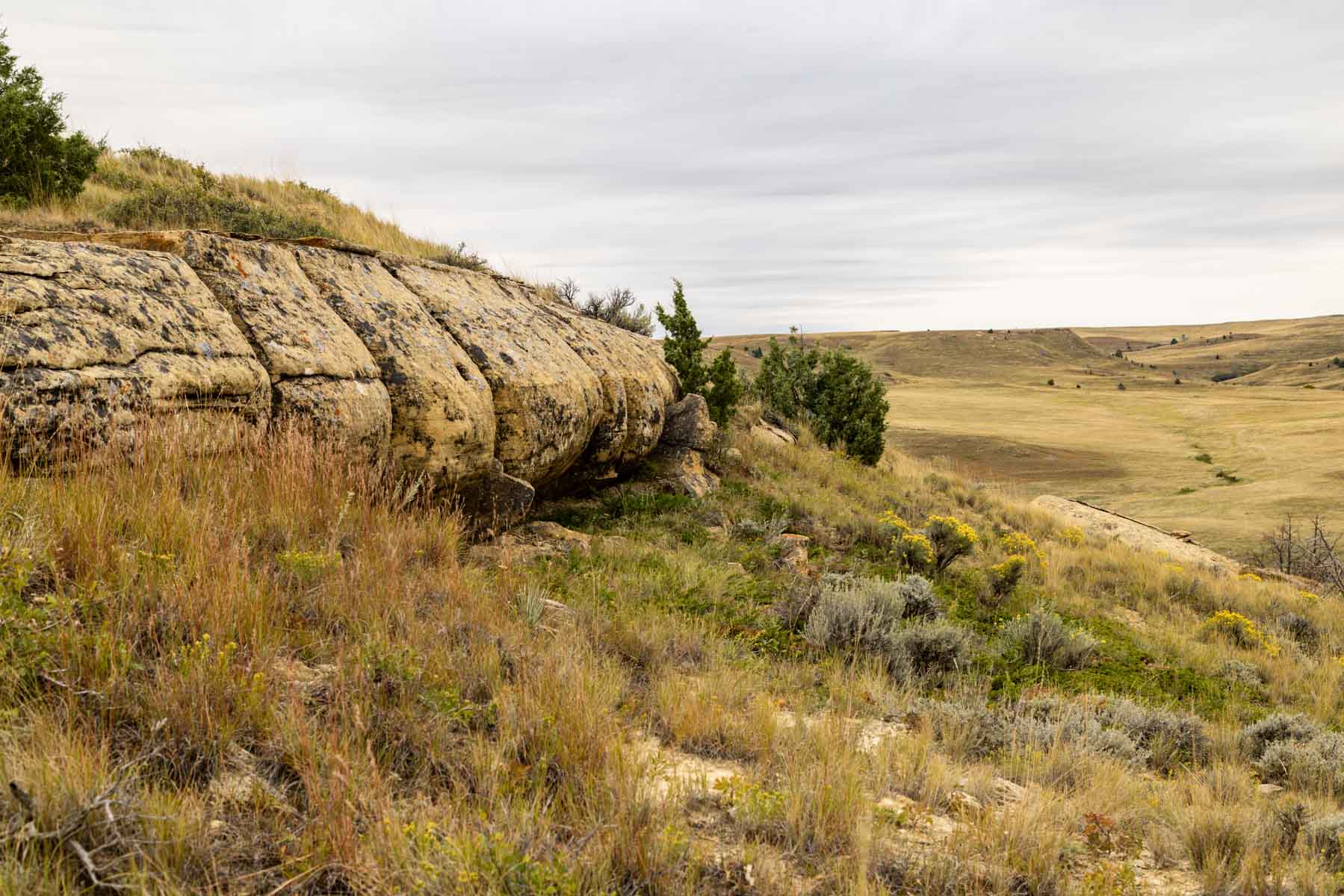Cedar Creek Ranch property picture 9 of 76