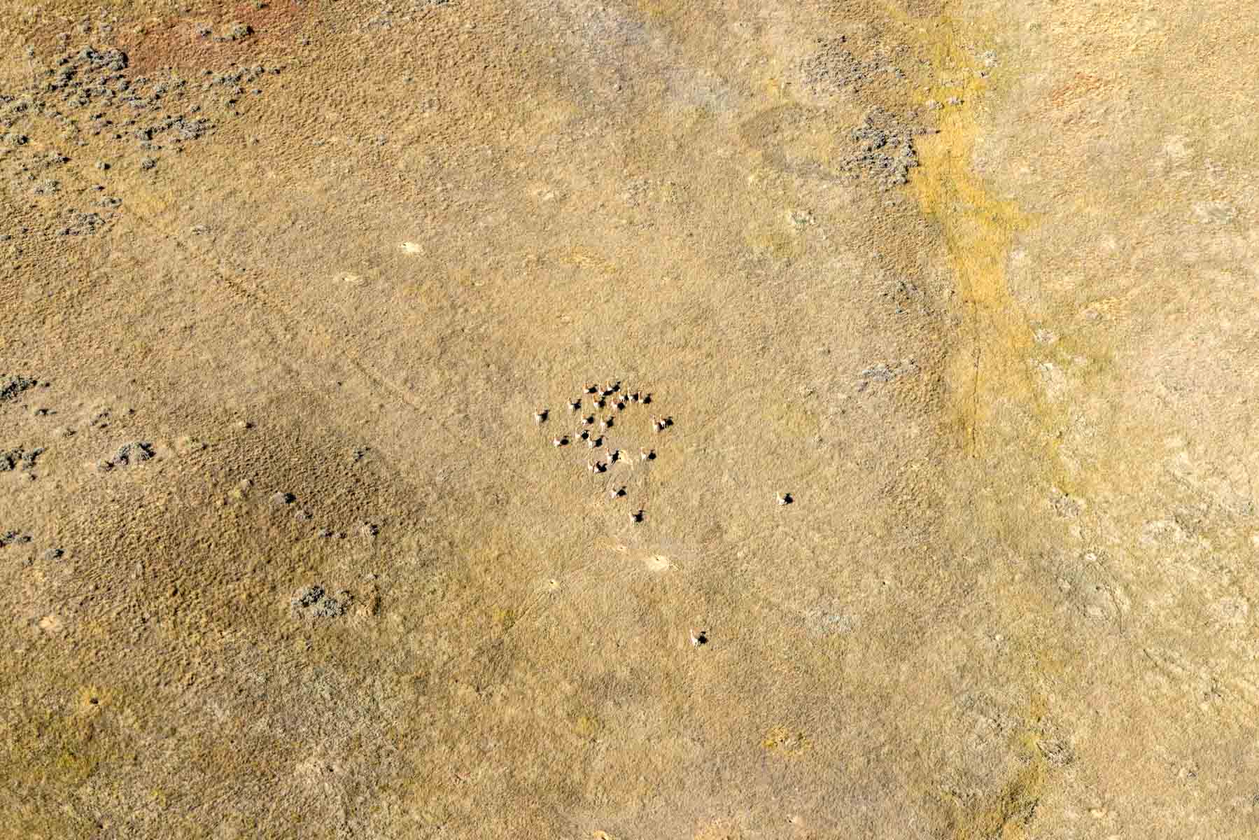 Cedar Creek Ranch property picture 45 of 76