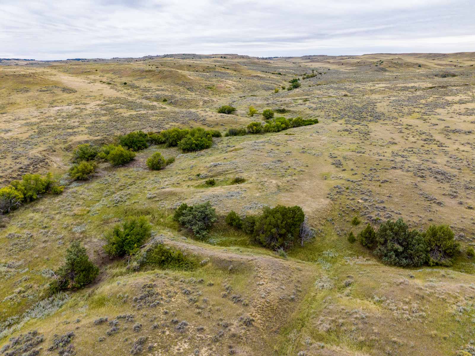 Cedar Creek Ranch property picture 13 of 76