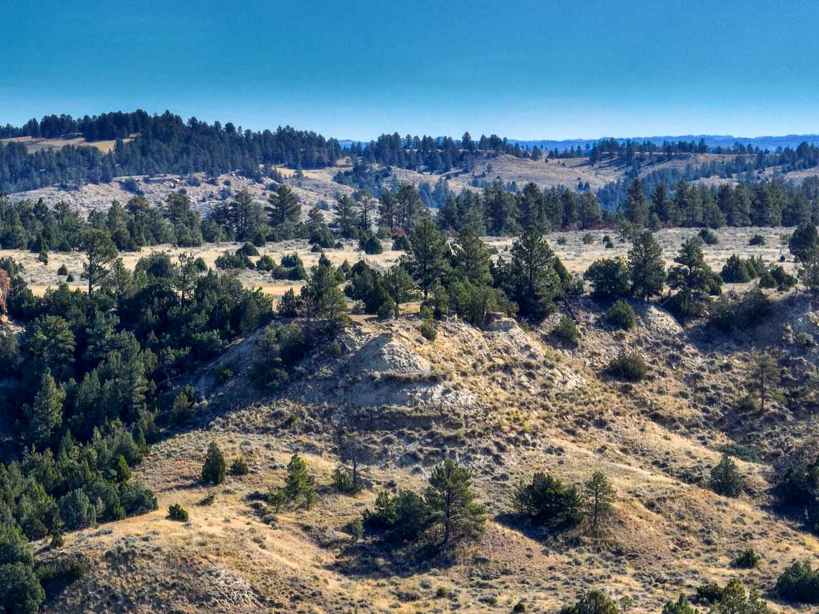 Cedar Creek Ranch property picture 70 of 76