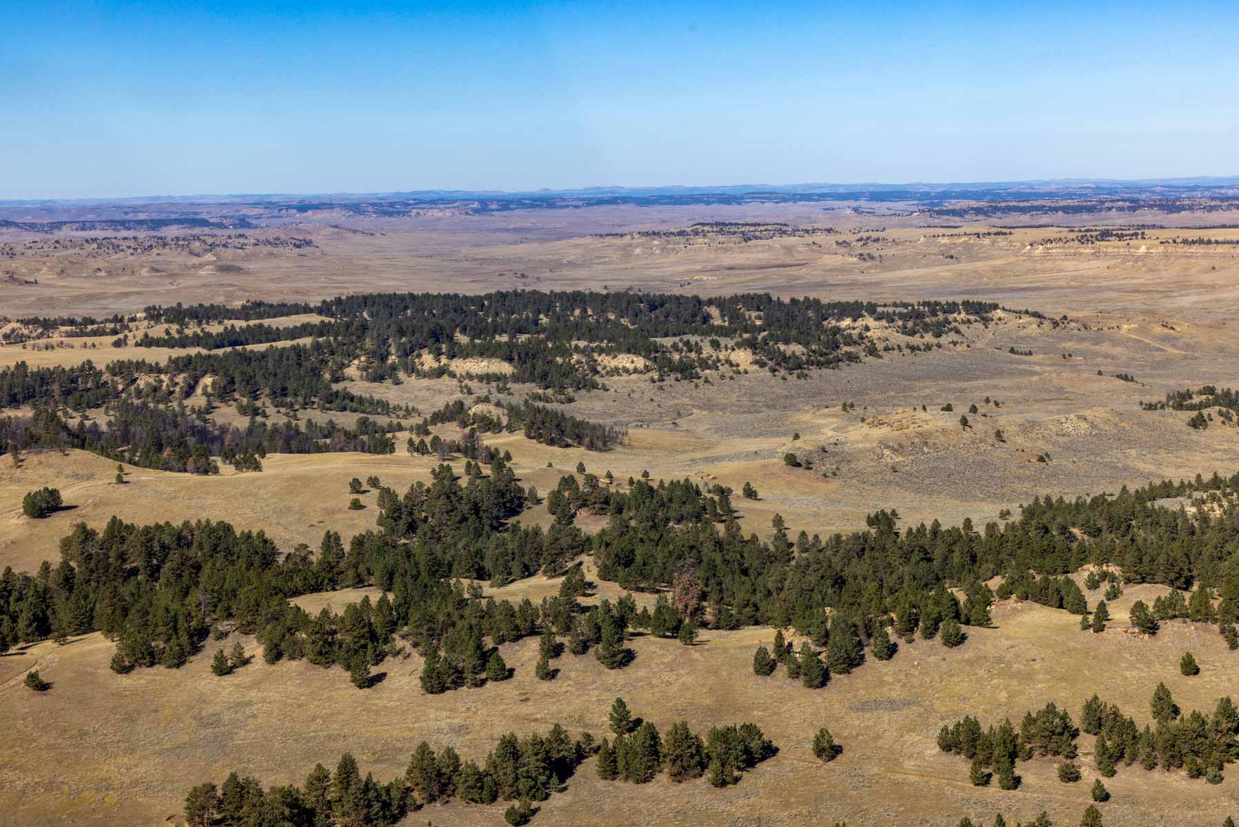 Cedar Creek Ranch property picture 62 of 76