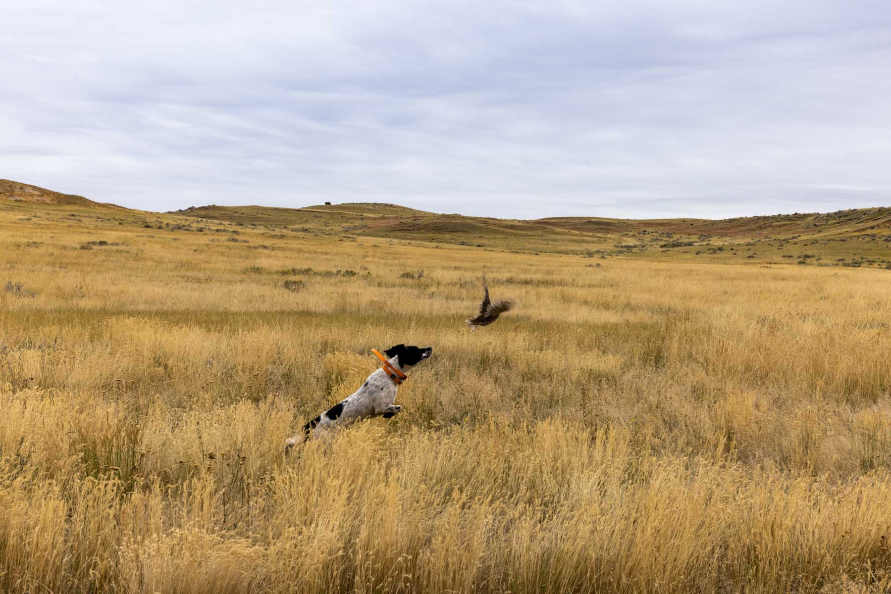 Cedar Creek Ranch property picture 37 of 76