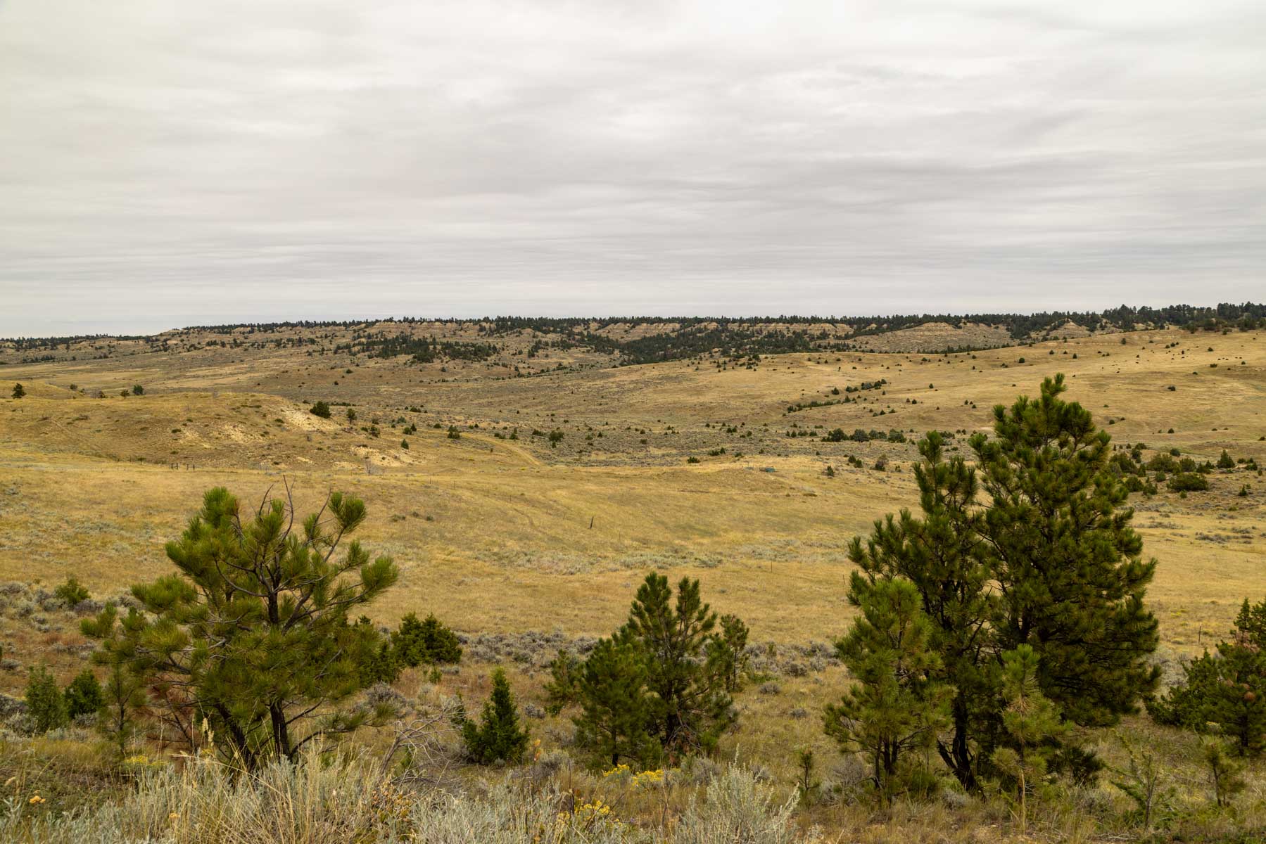 Cedar Creek Ranch property picture 15 of 76