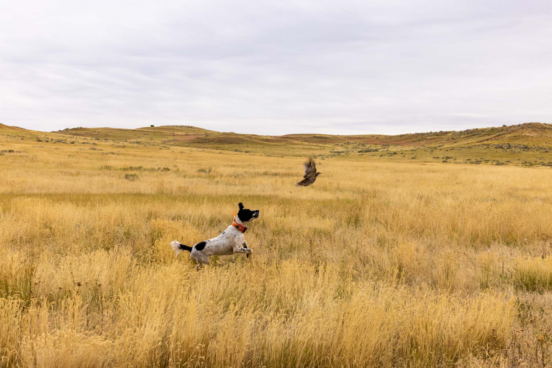 Cedar Creek Ranch property picture 5 of 76