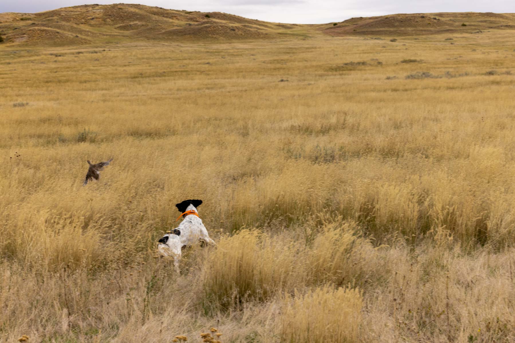 Cedar Creek Ranch property picture 38 of 76