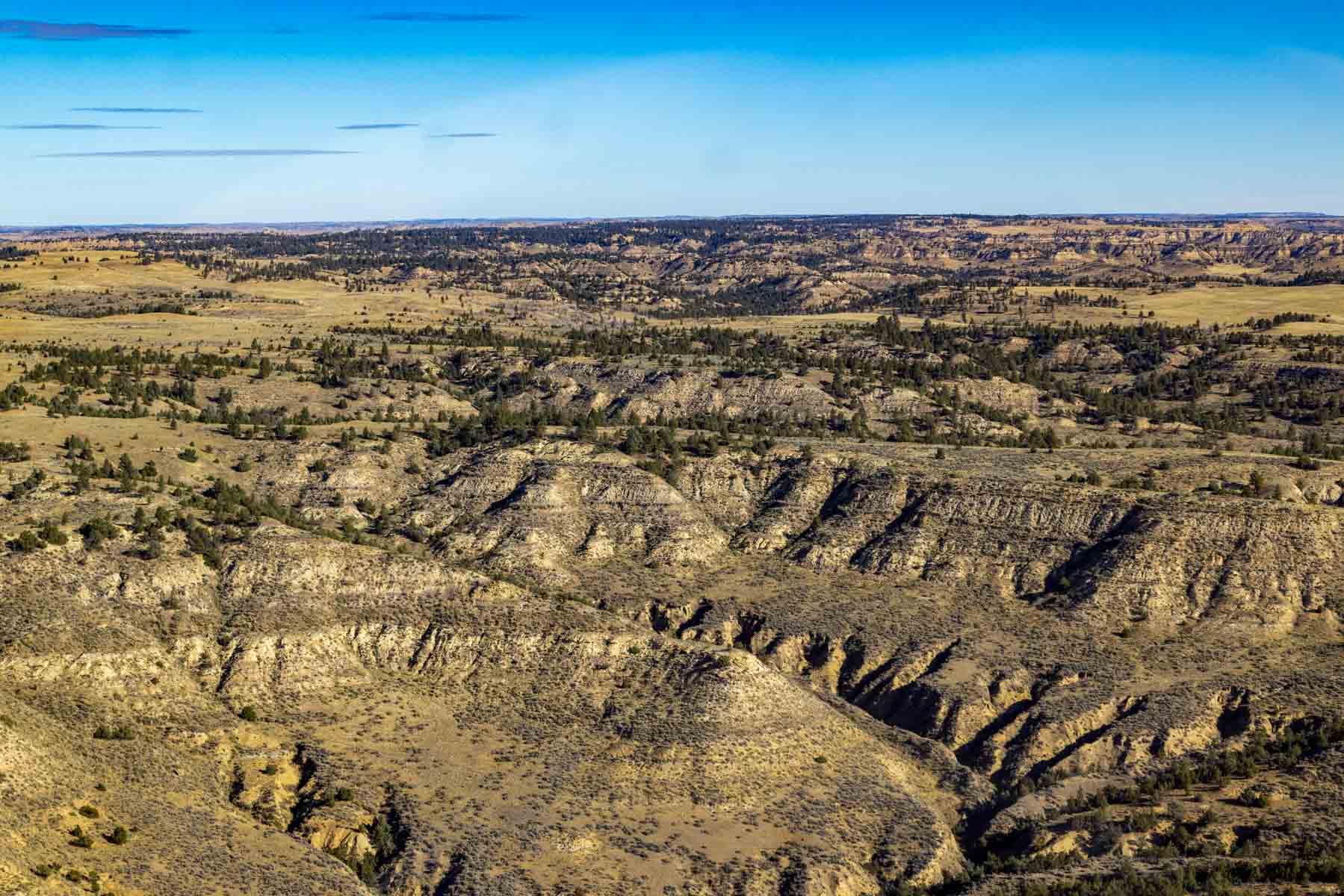 Cedar Creek Ranch property picture 40 of 76