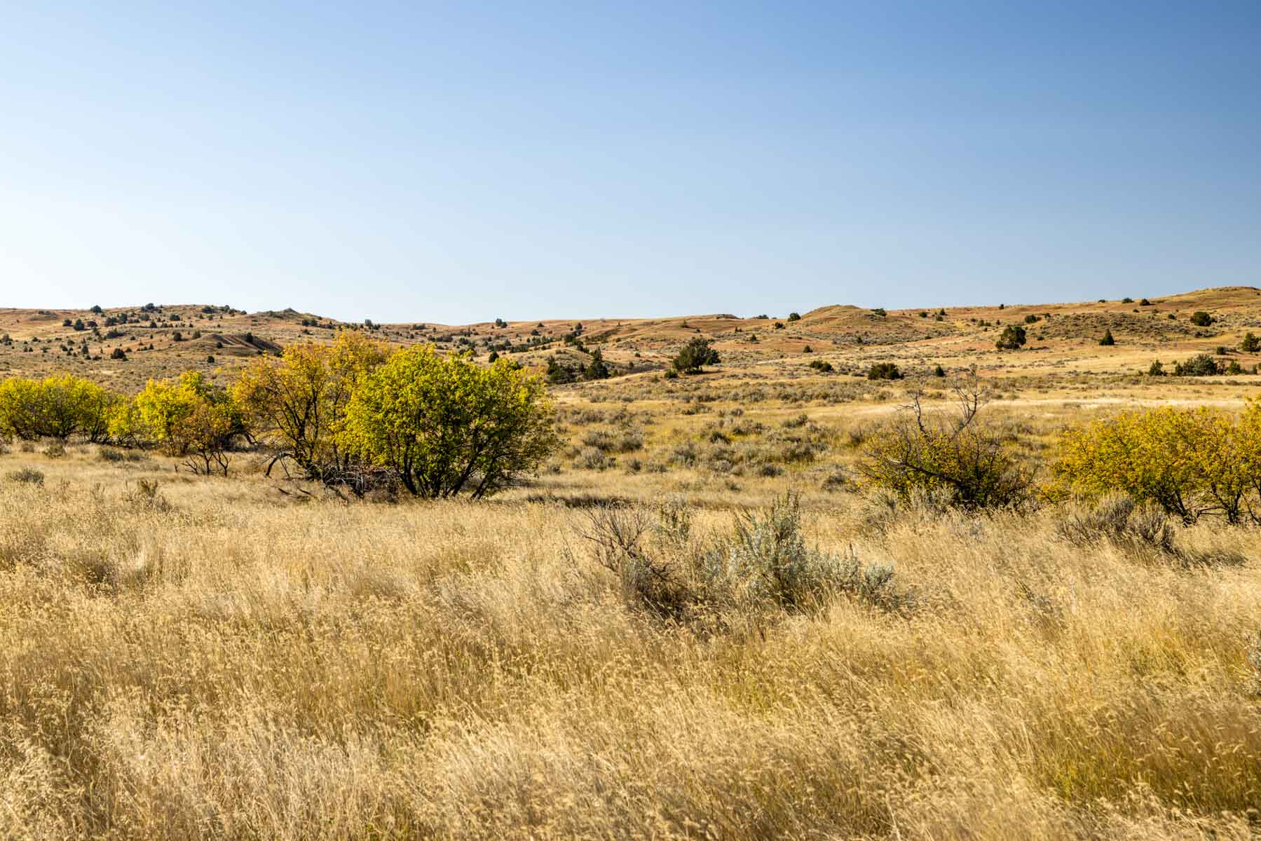 Cedar Creek Ranch property picture 54 of 76