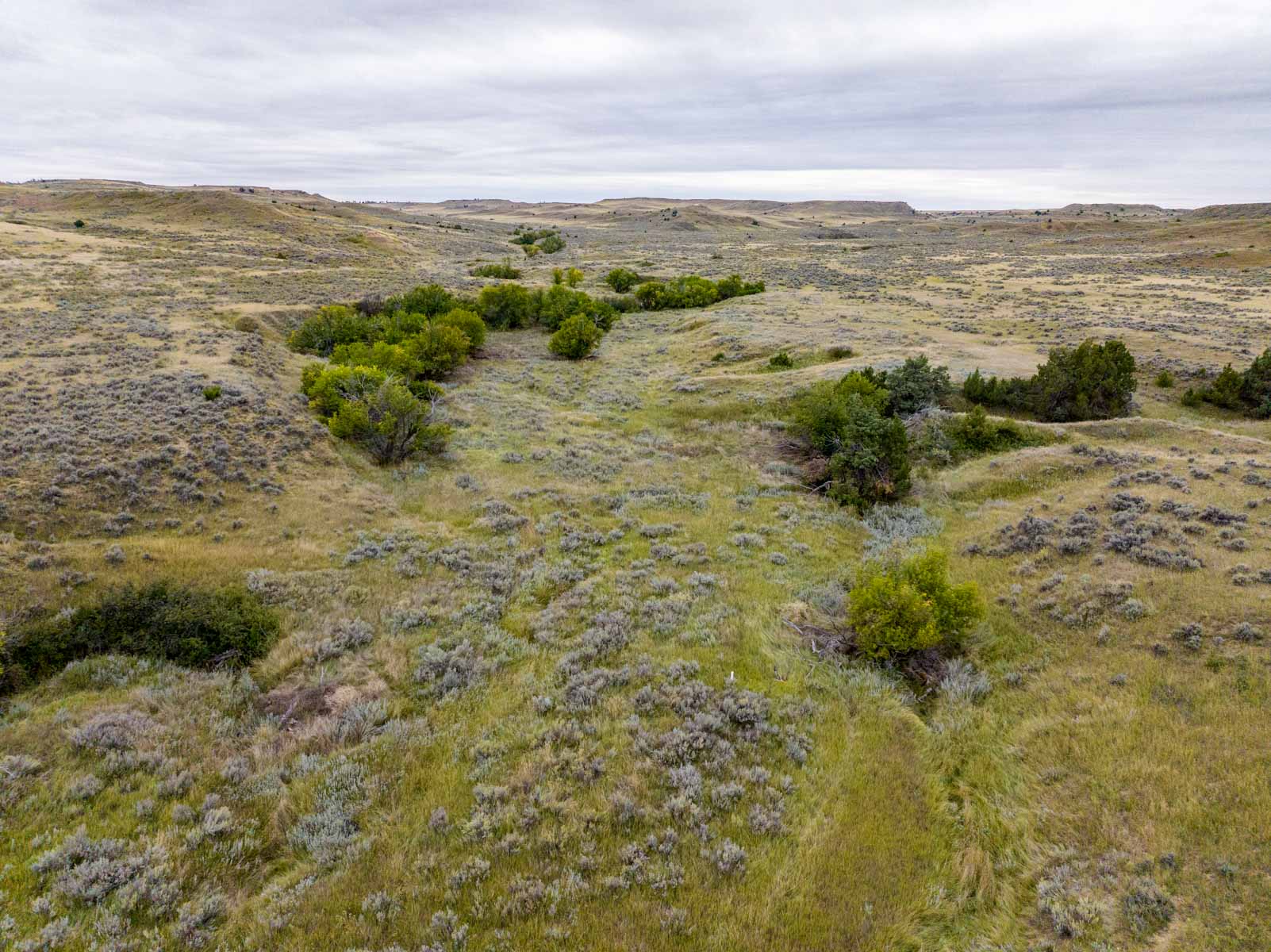 Cedar Creek Ranch property picture 12 of 76