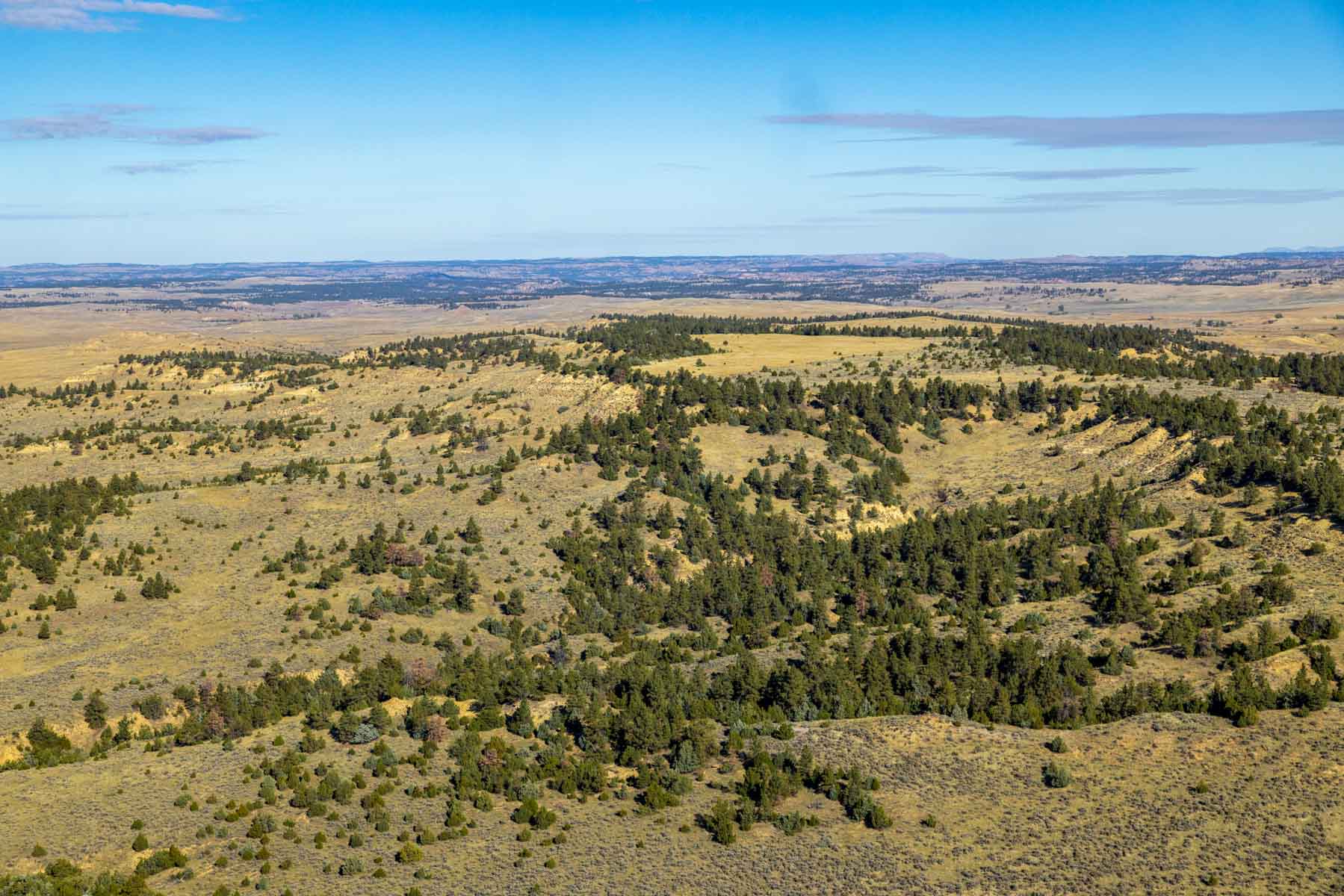 Cedar Creek Ranch property picture 42 of 76