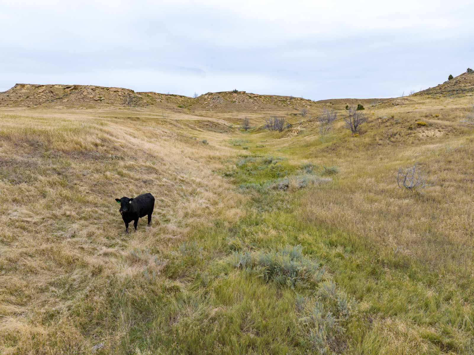 Cedar Creek Ranch property picture 28 of 76