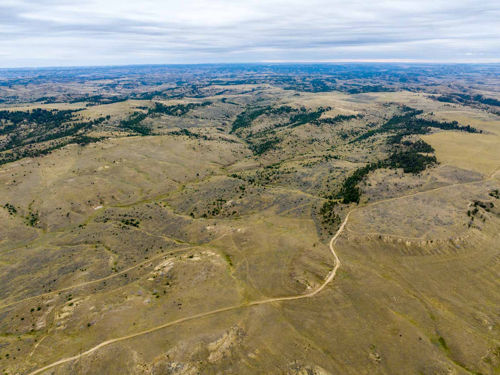 Cedar Creek Ranch property picture 4 of 76