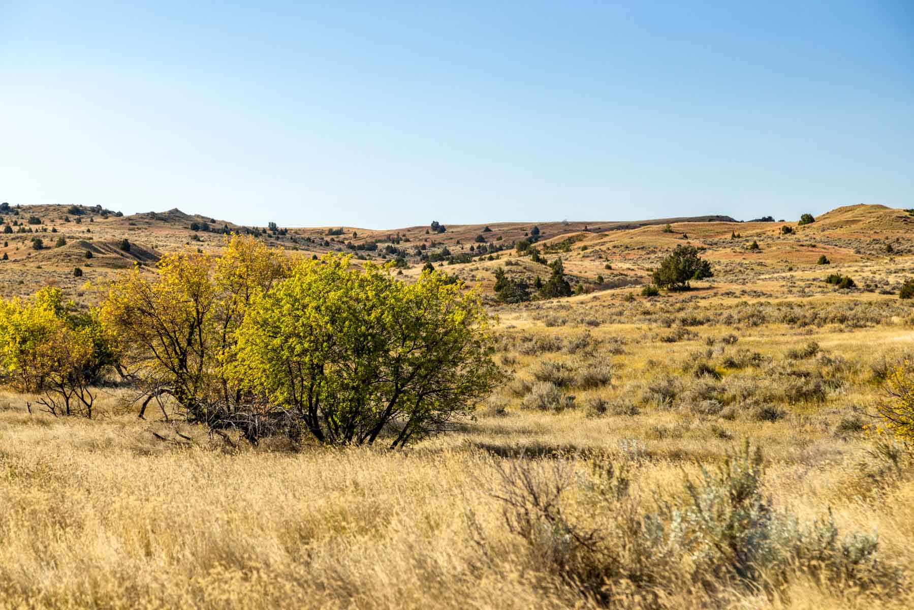 Cedar Creek Ranch property picture 52 of 76
