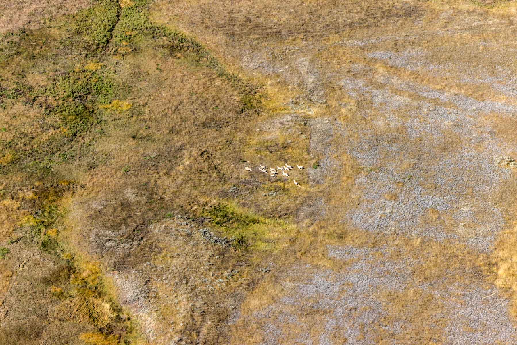 Cedar Creek Ranch property picture 61 of 76