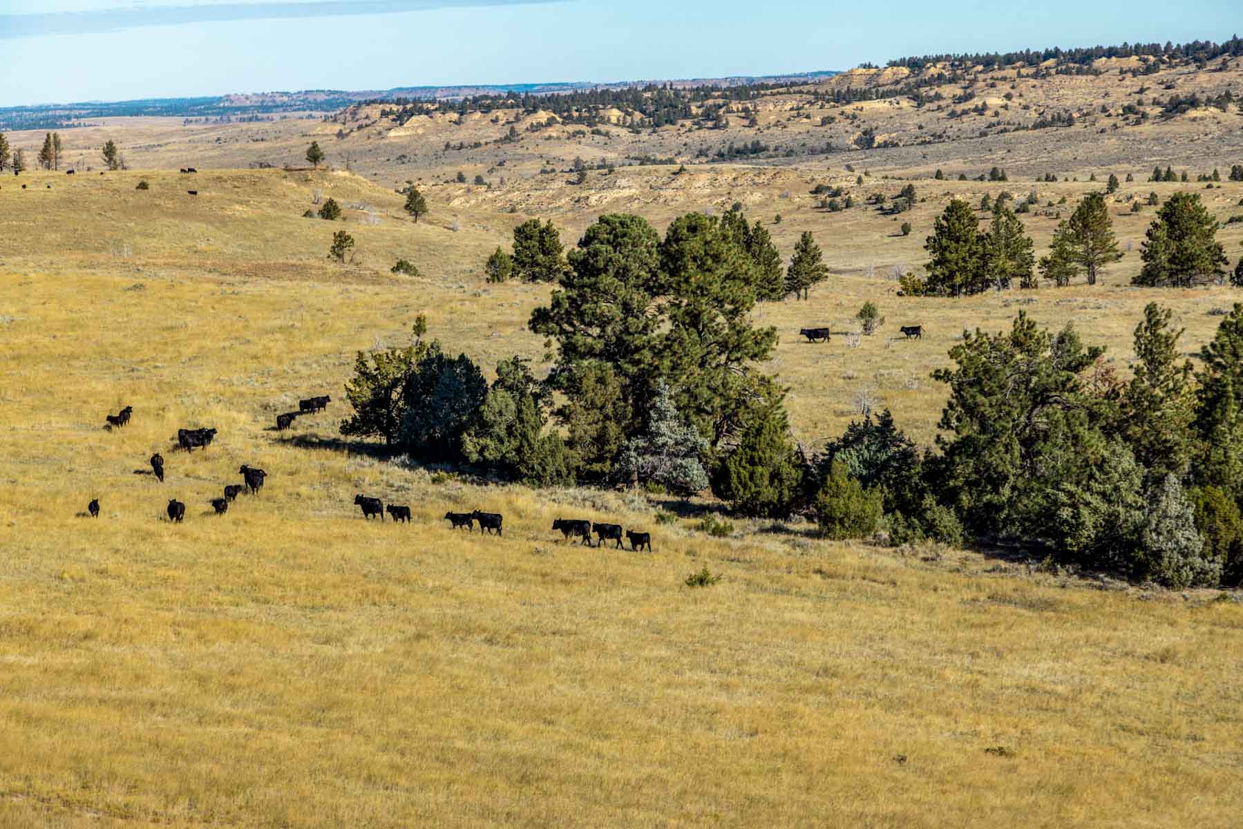 Cedar Creek Ranch property picture 49 of 76