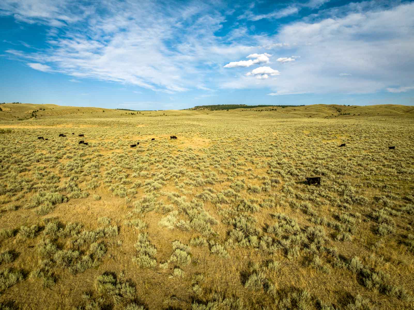 Home Place Ranch property picture 4 of 31