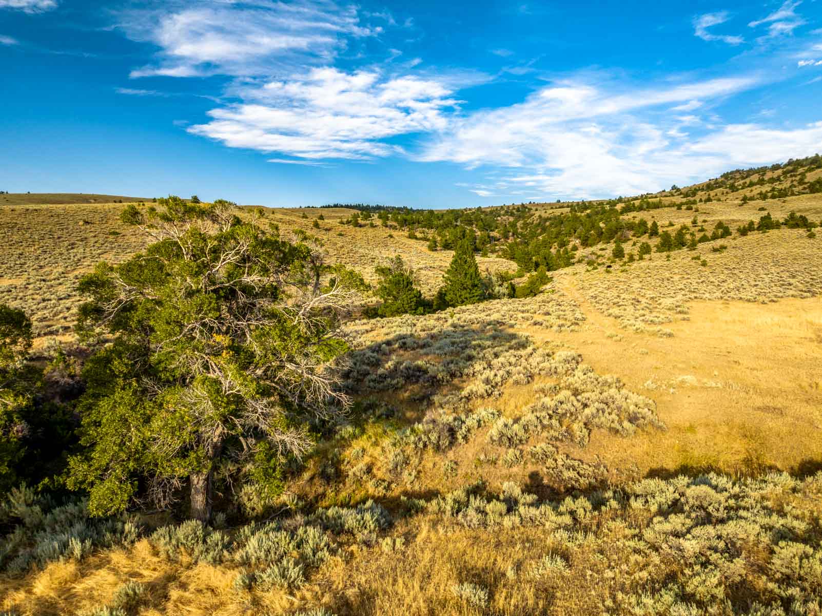 Home Place Ranch property picture 10 of 31