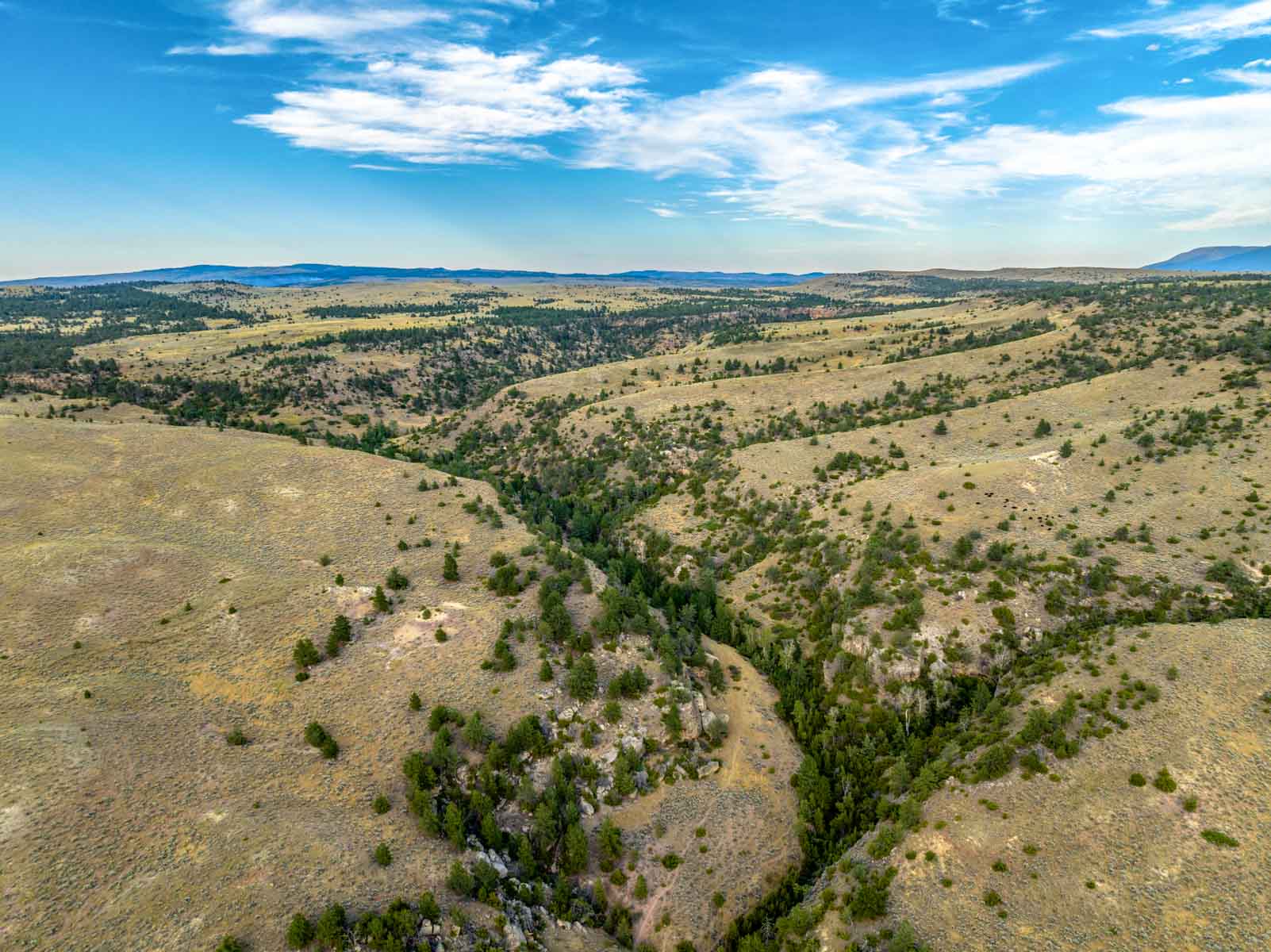 Home Place Ranch property picture 11 of 31