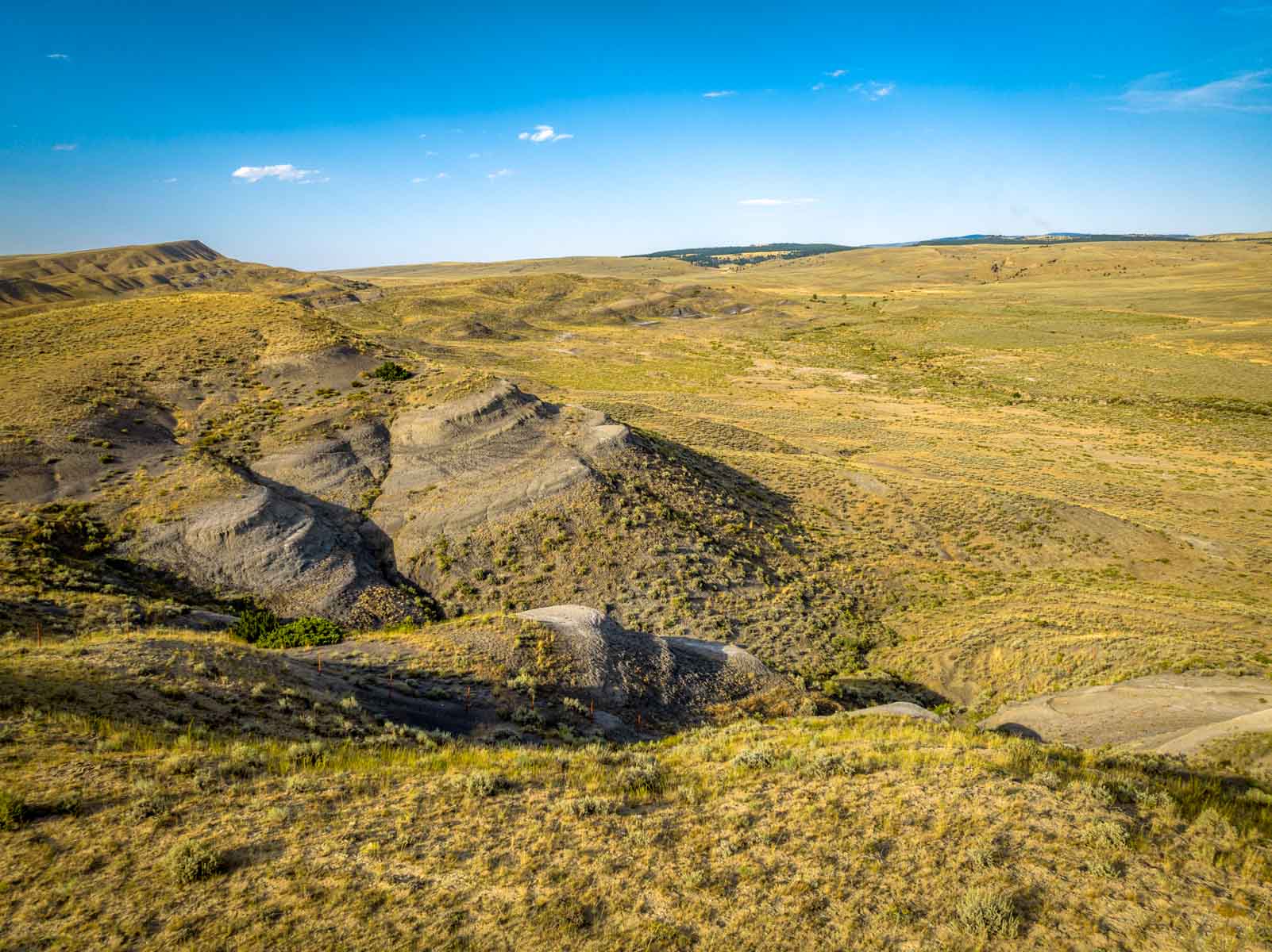 Home Place Ranch property picture 15 of 31