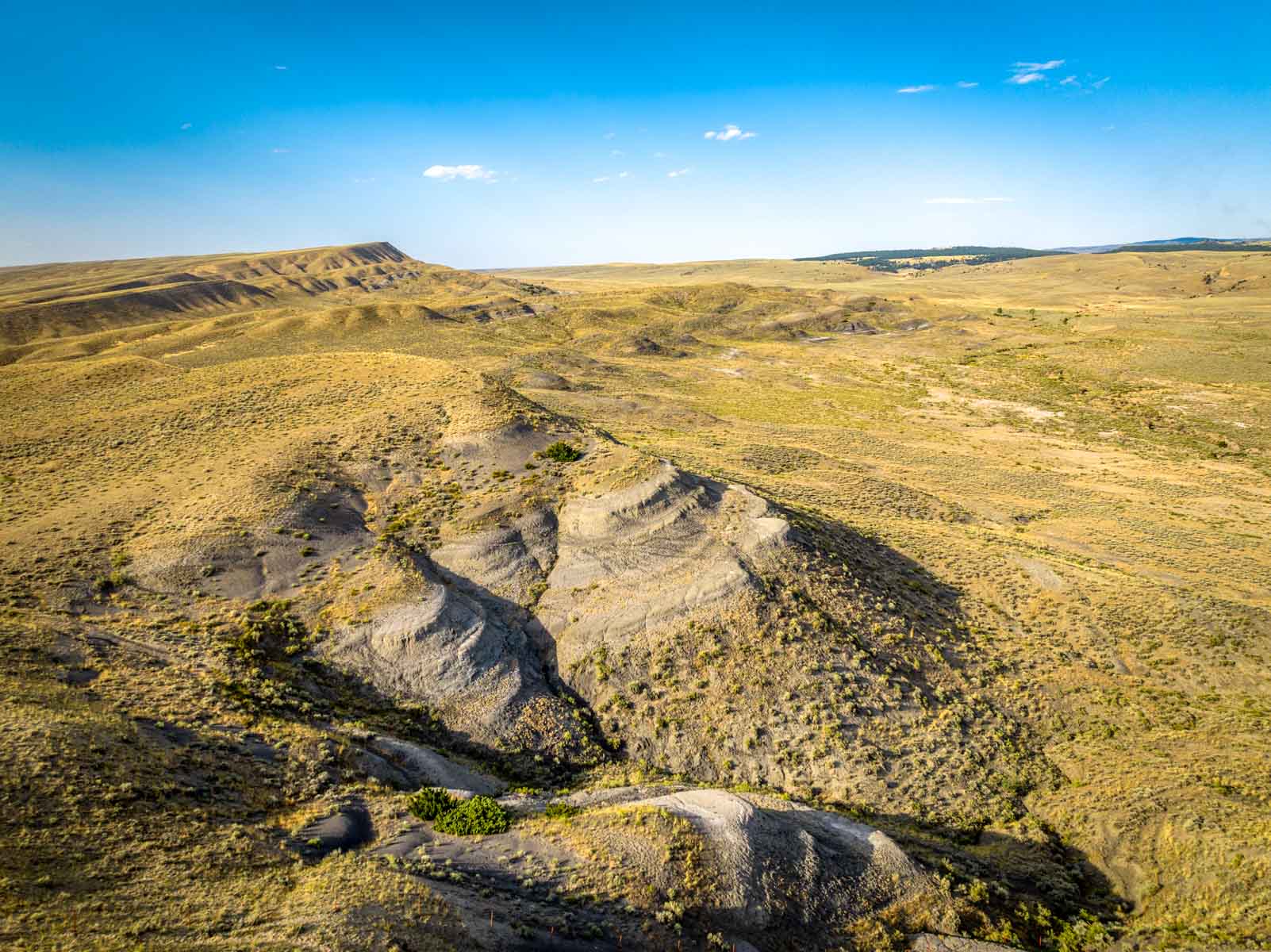 Home Place Ranch property picture 6 of 31