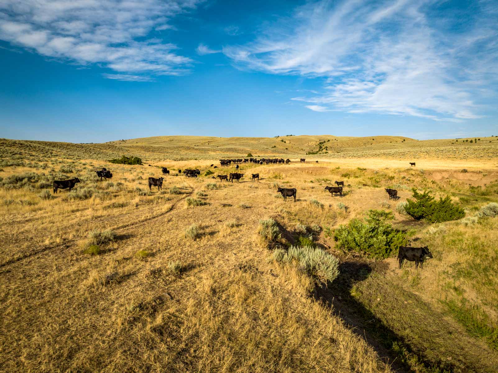 Home Place Ranch property picture 8 of 31